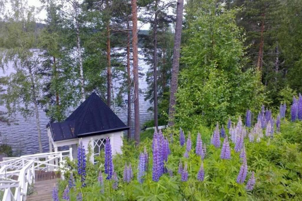 Dazzling and spacious Villa Huvikumpu by the lake