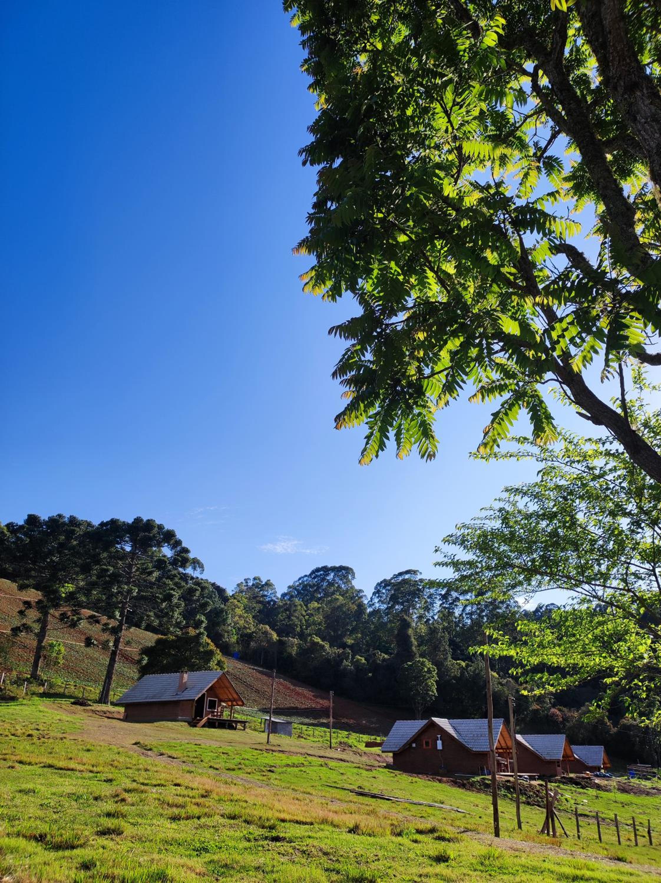 Pousada das Castanheiras