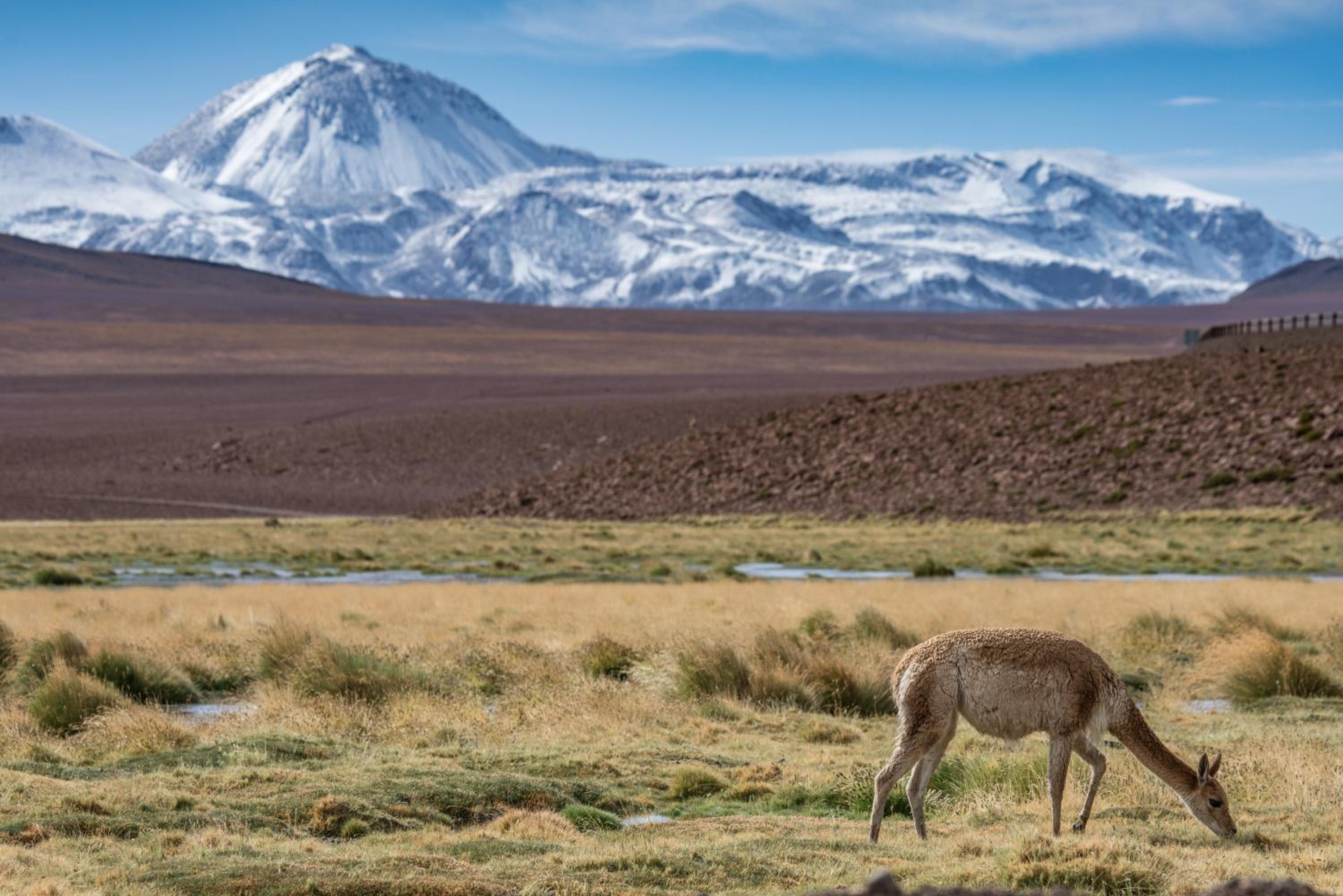 Ckoi Atacama Lodge