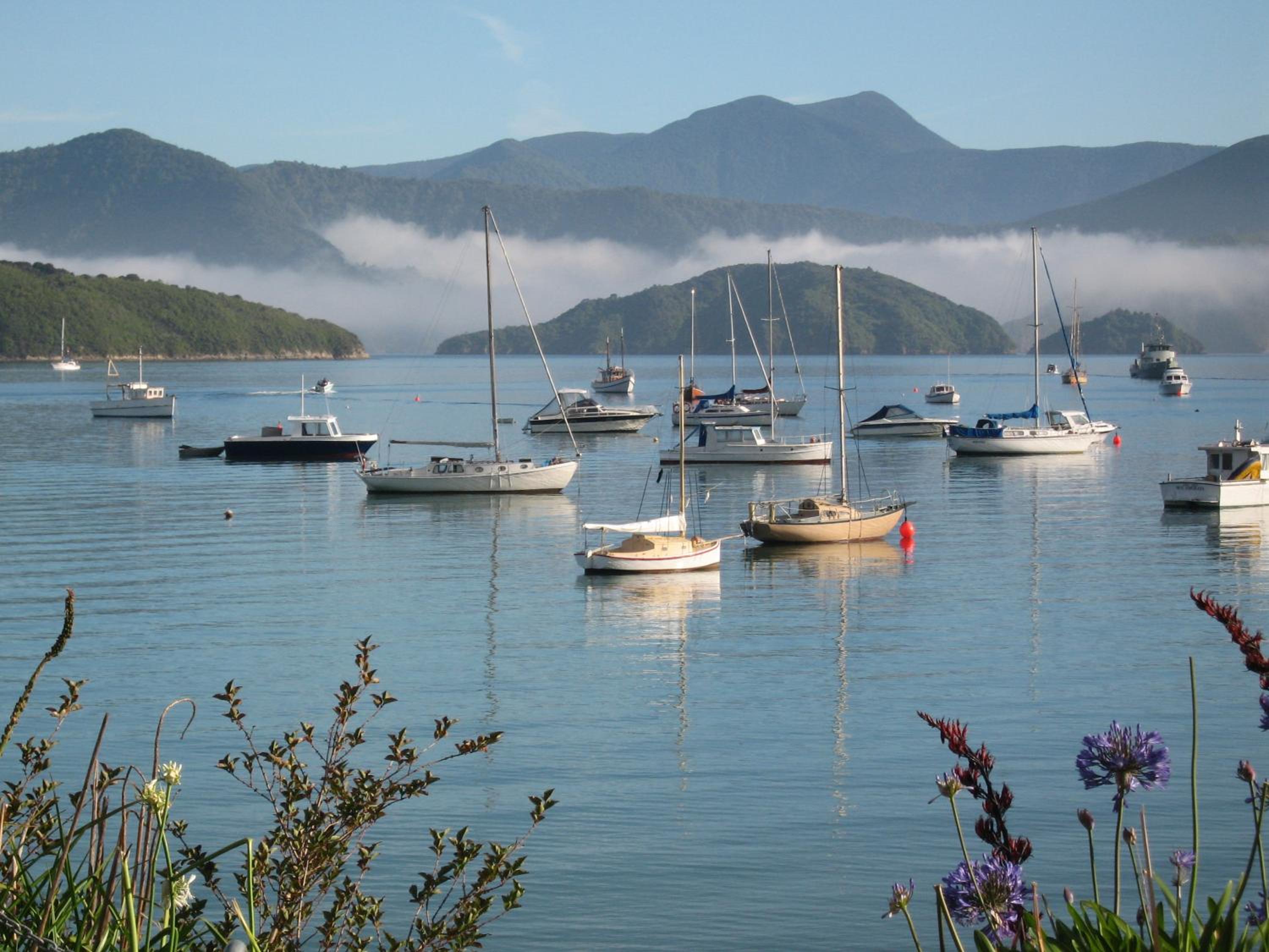 Waikawa Bay bach with spectacular views view 4
