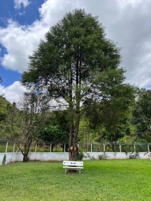 Lindo sítio para você e sua família!