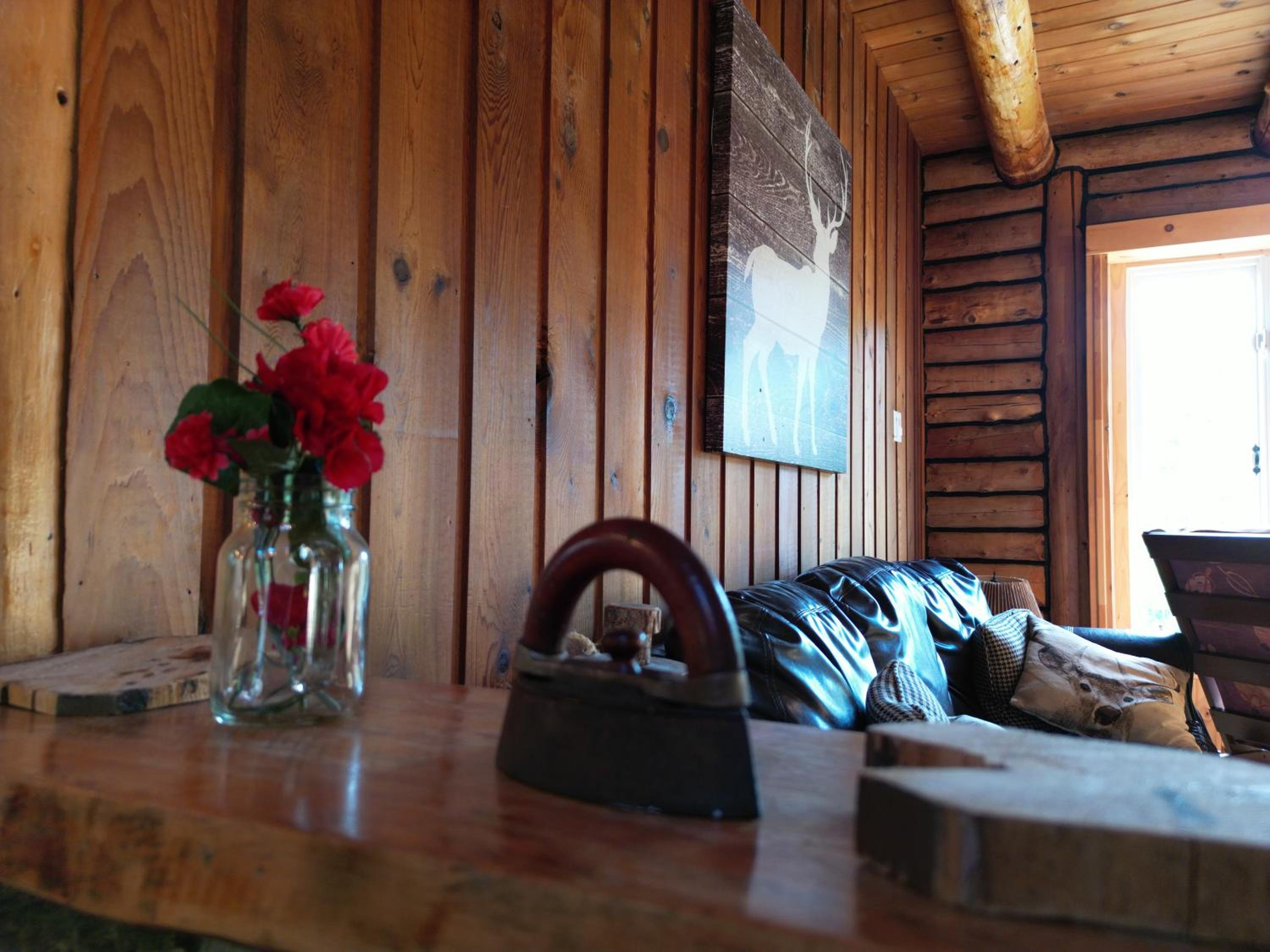Cozy log cottage