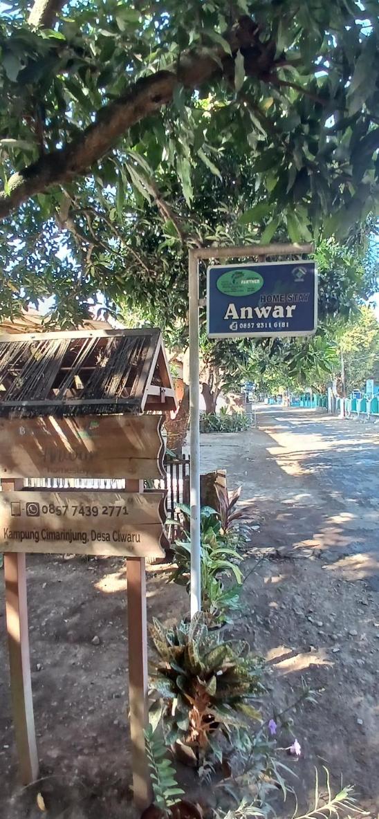 Homestay Anwar