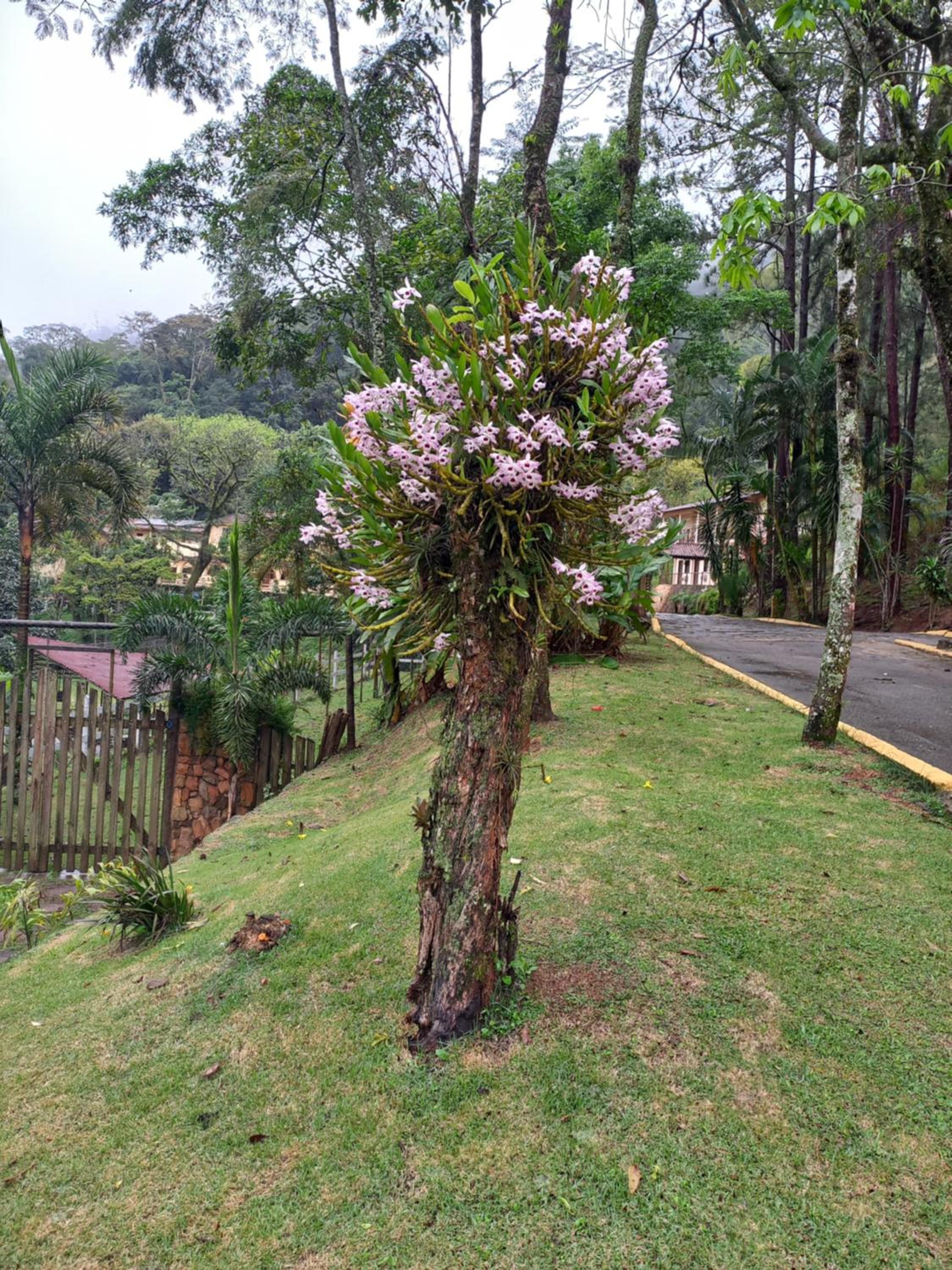 Pousada Green Garden