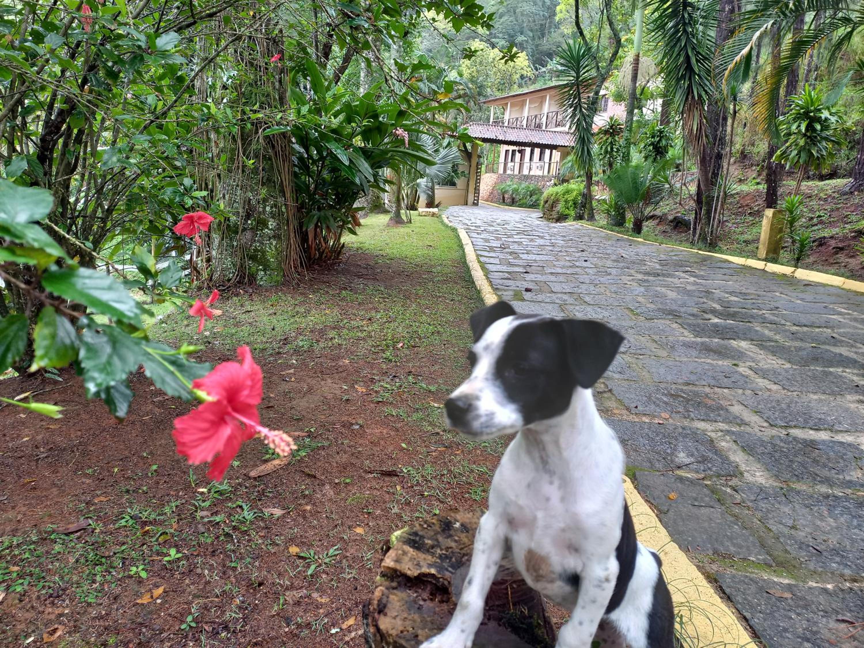 Pousada Green Garden