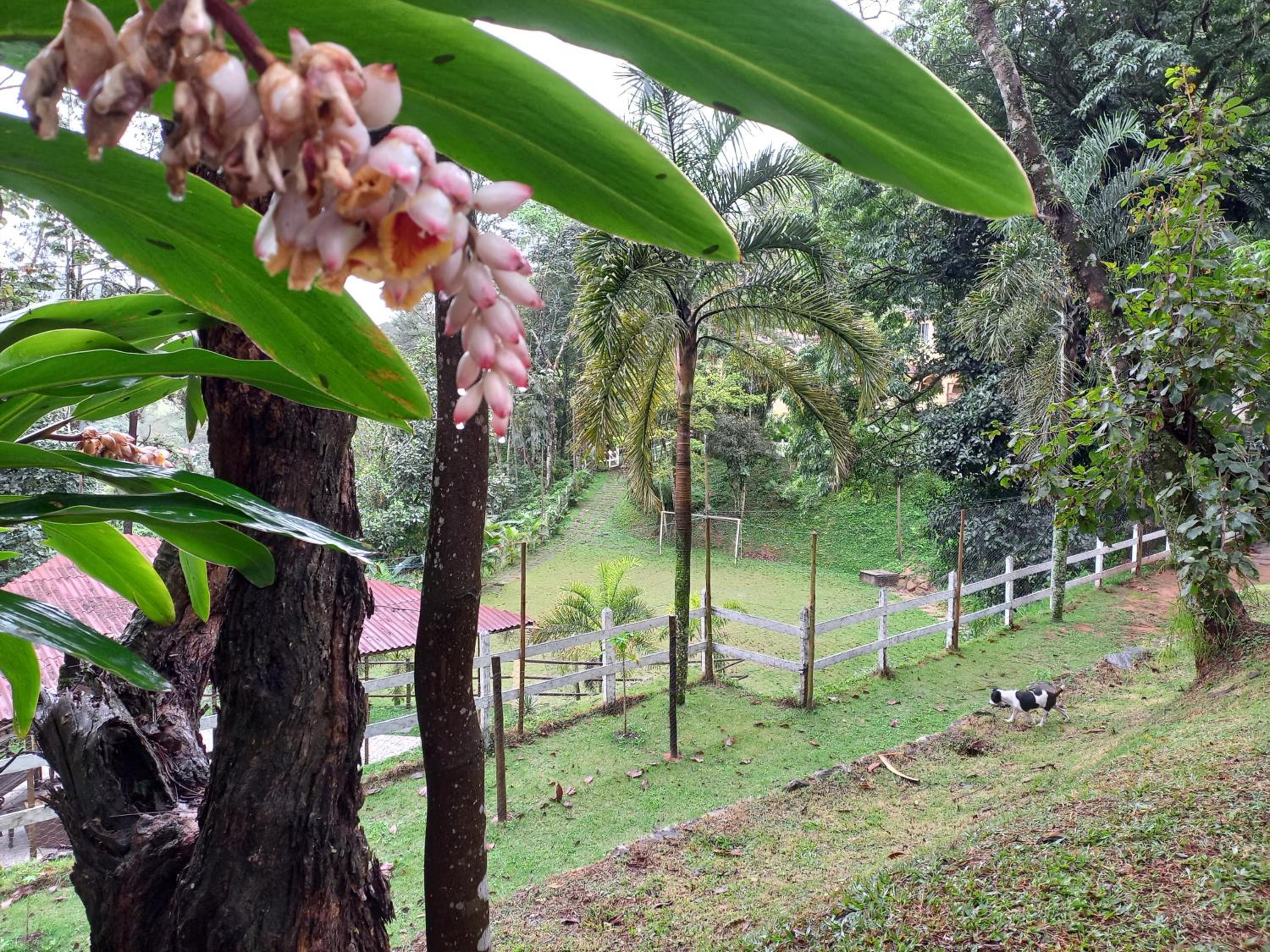 Pousada Green Garden