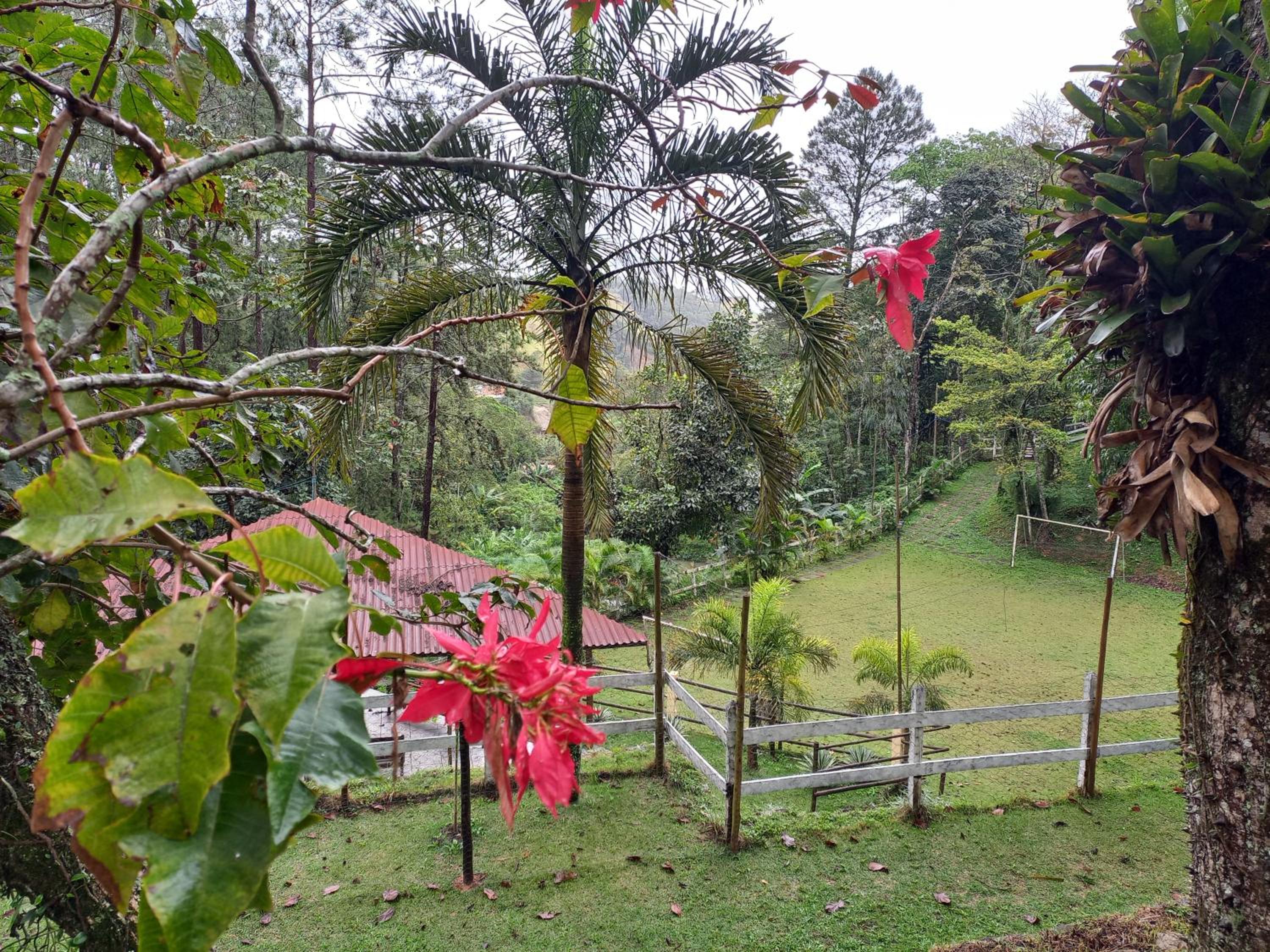 Pousada Green Garden