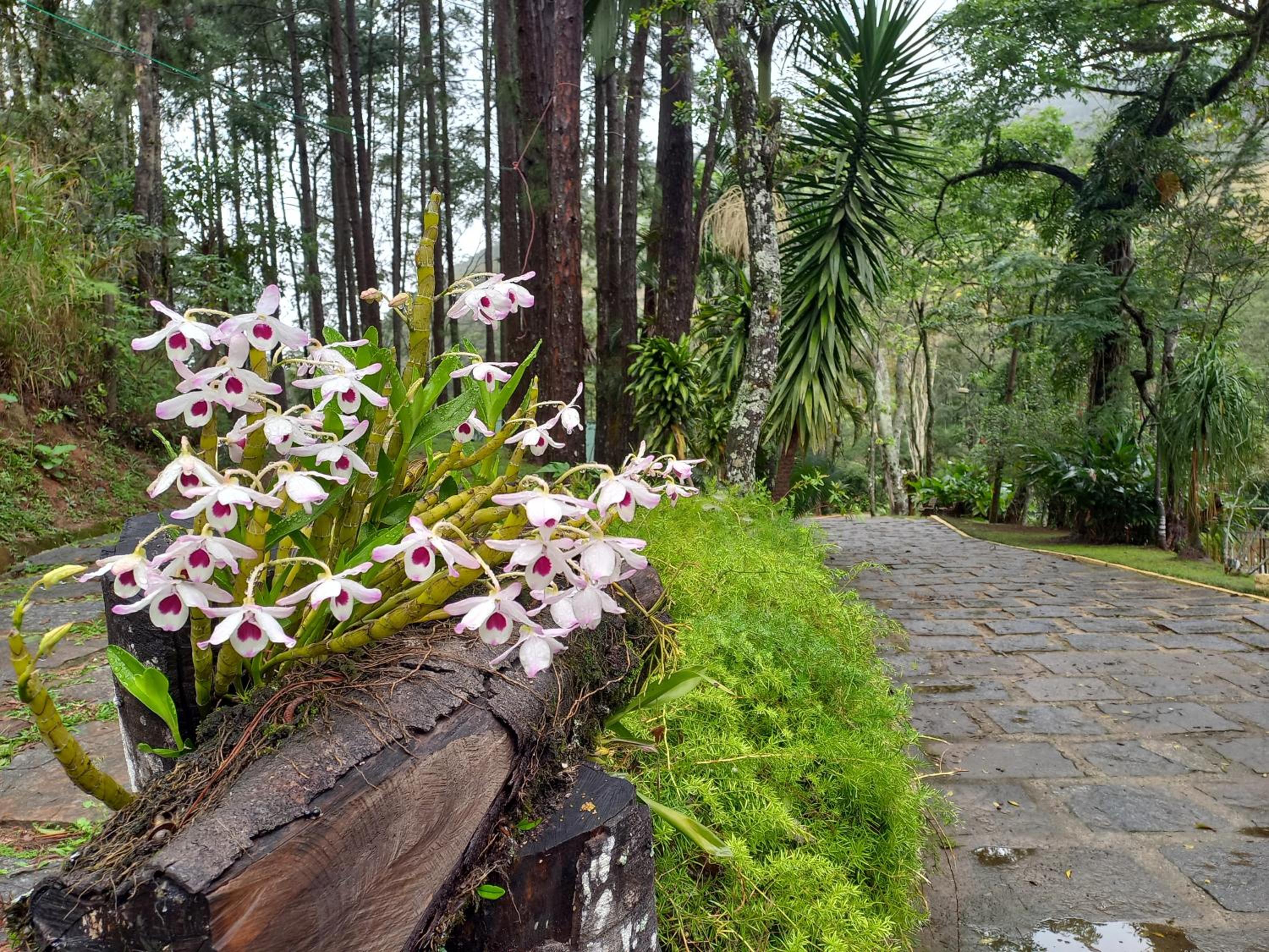 Pousada Green Garden