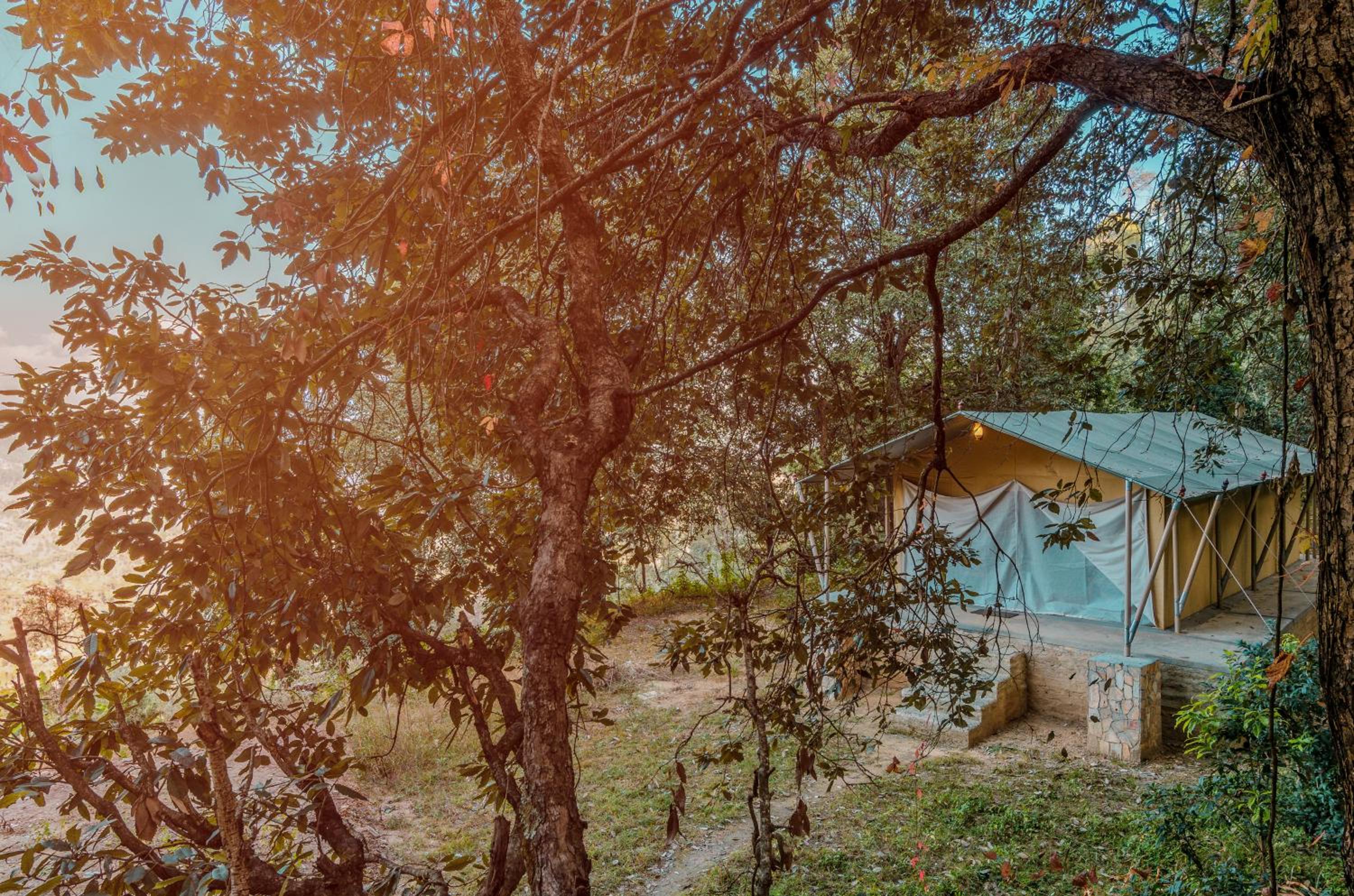 Nayalap - Rural Himalayan Glamping view 2