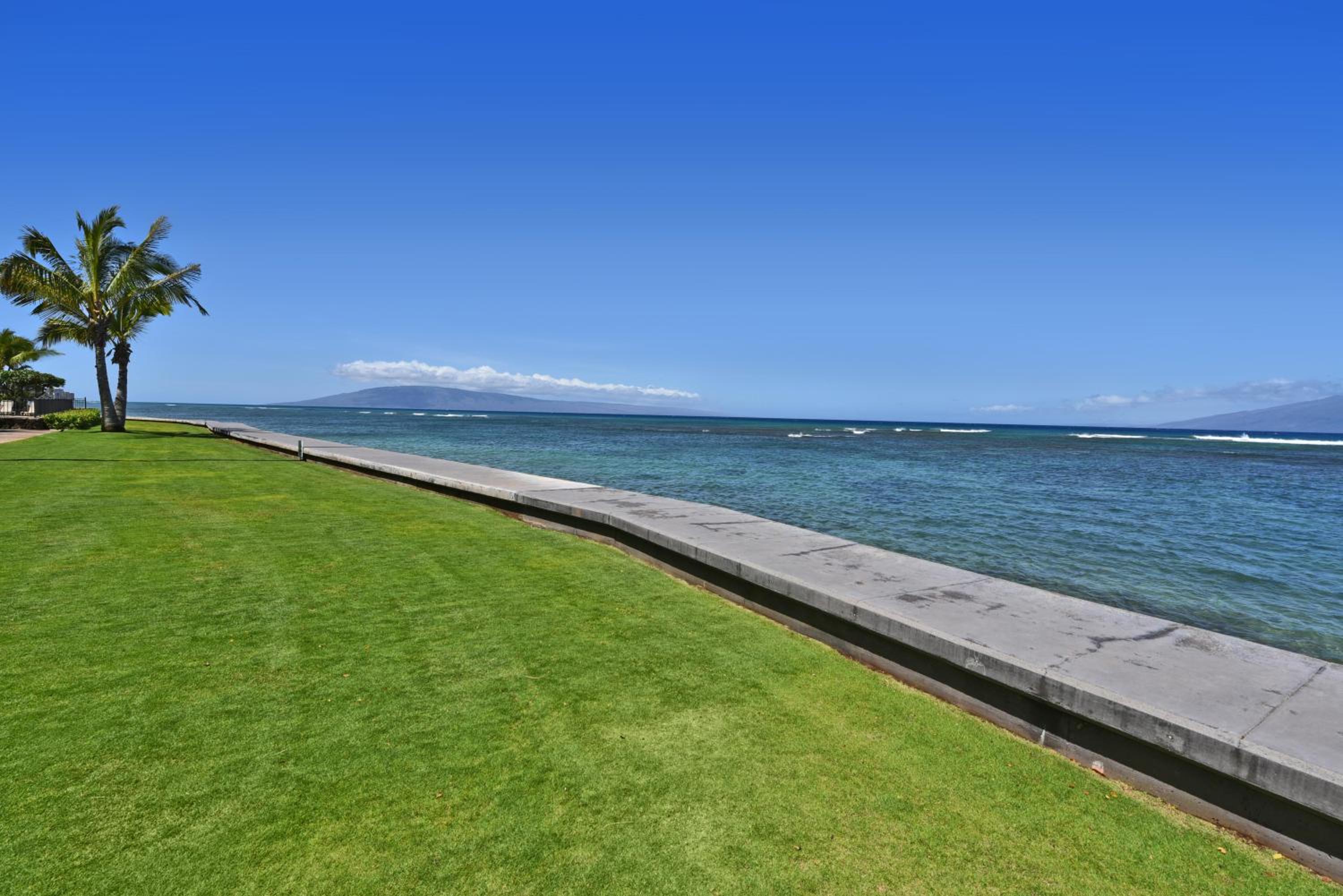 Kahana Reef 117 · KR 117 Renovated OceanFront 1BD w Ocean Views