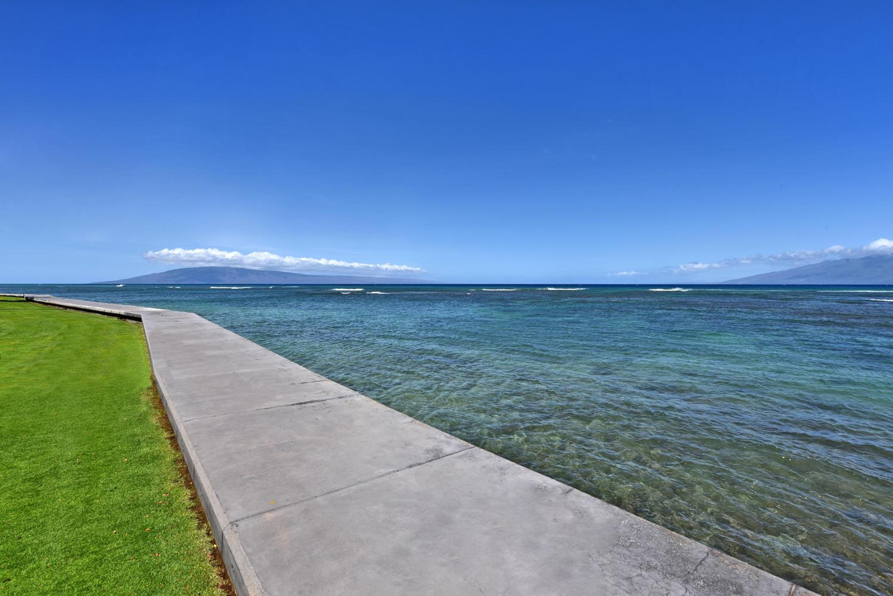 Kahana Reef 117 · KR 117 Renovated OceanFront 1BD w Ocean Views