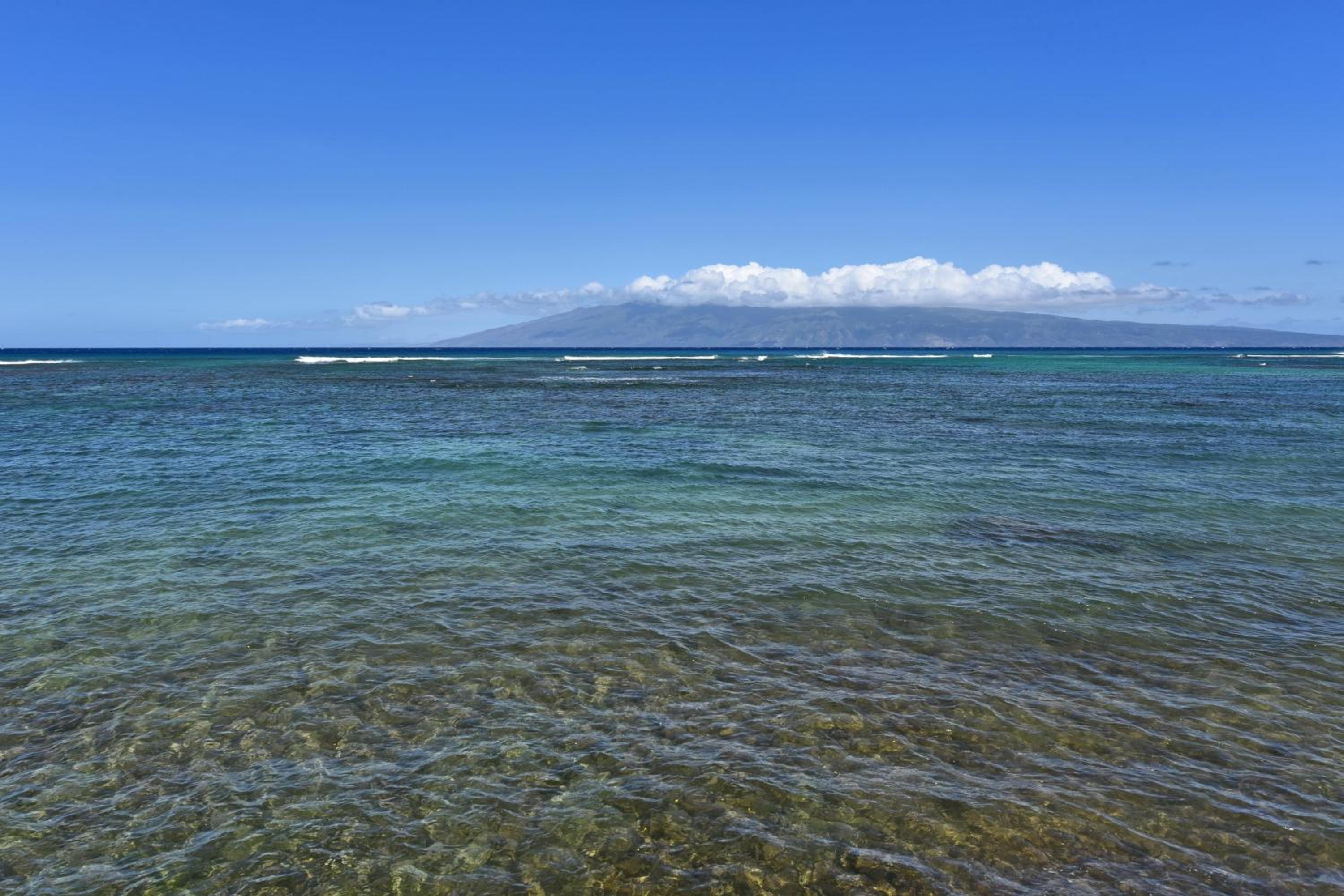 Kahana Reef 117 · KR 117 Renovated OceanFront 1BD w Ocean Views