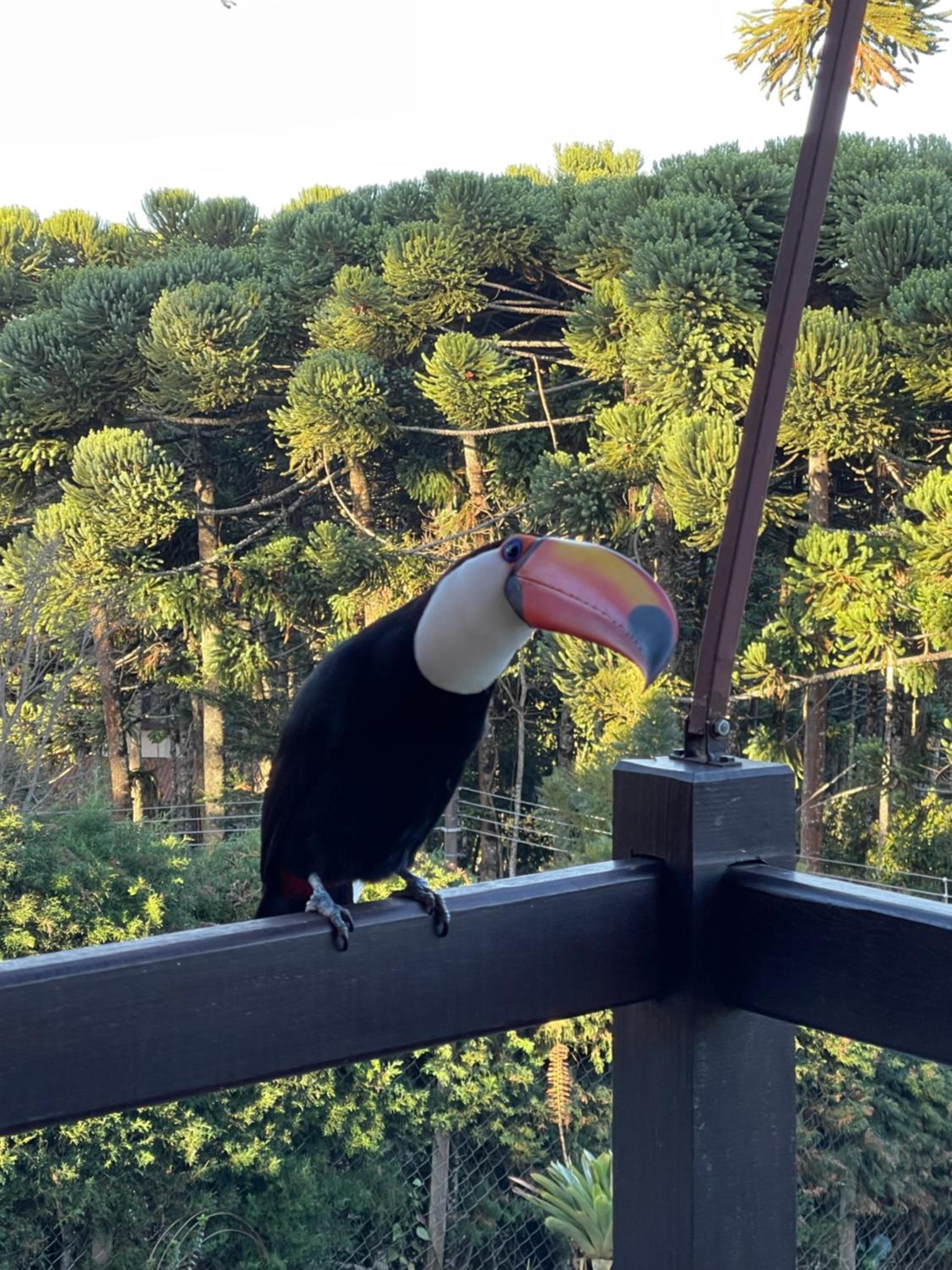 Refúgio dos Sonhos - Casa nas Montanhas - Monte Verde