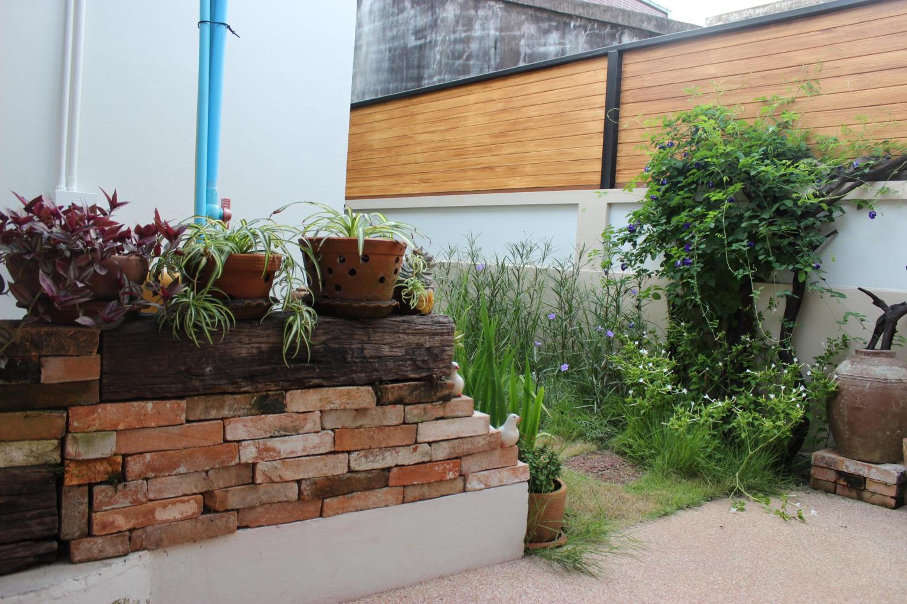 Tree Home Plus