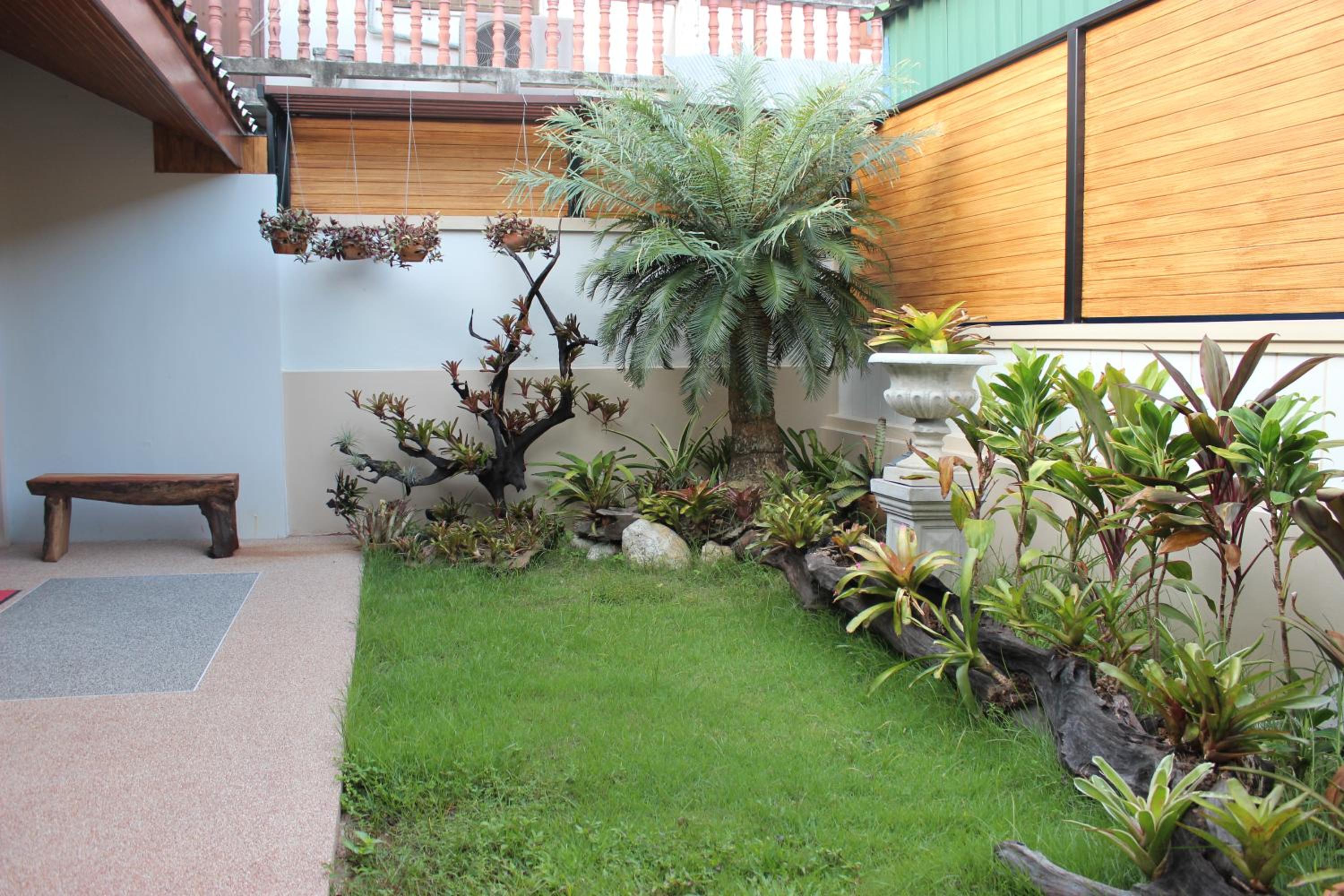 Tree Home Plus