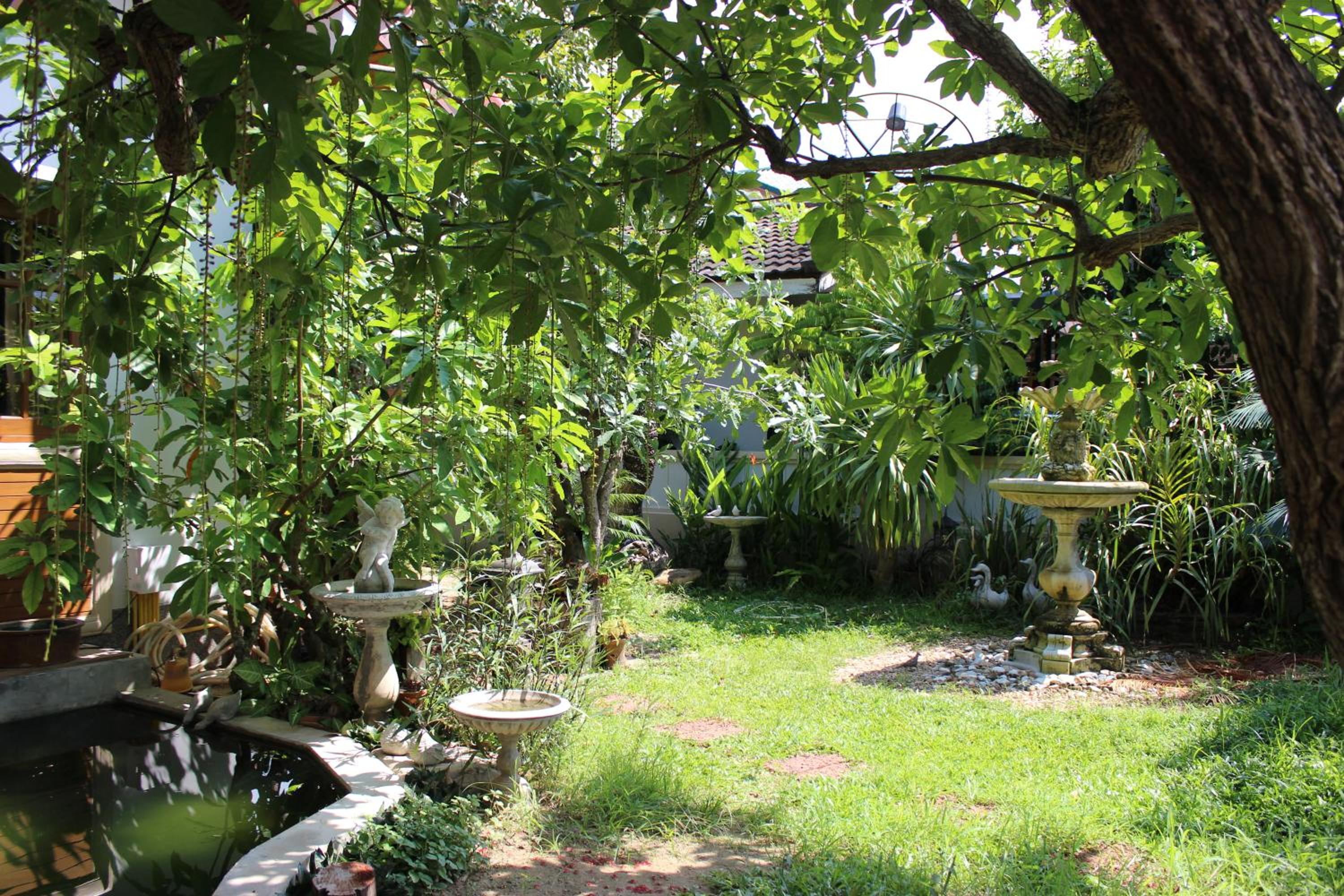 Tree Home Plus, photo 19