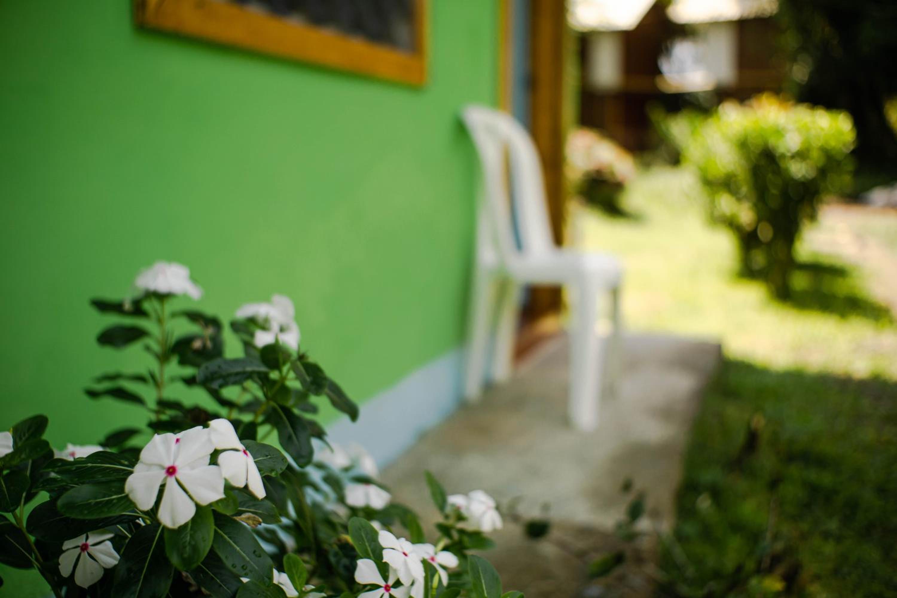 Cabañas yami