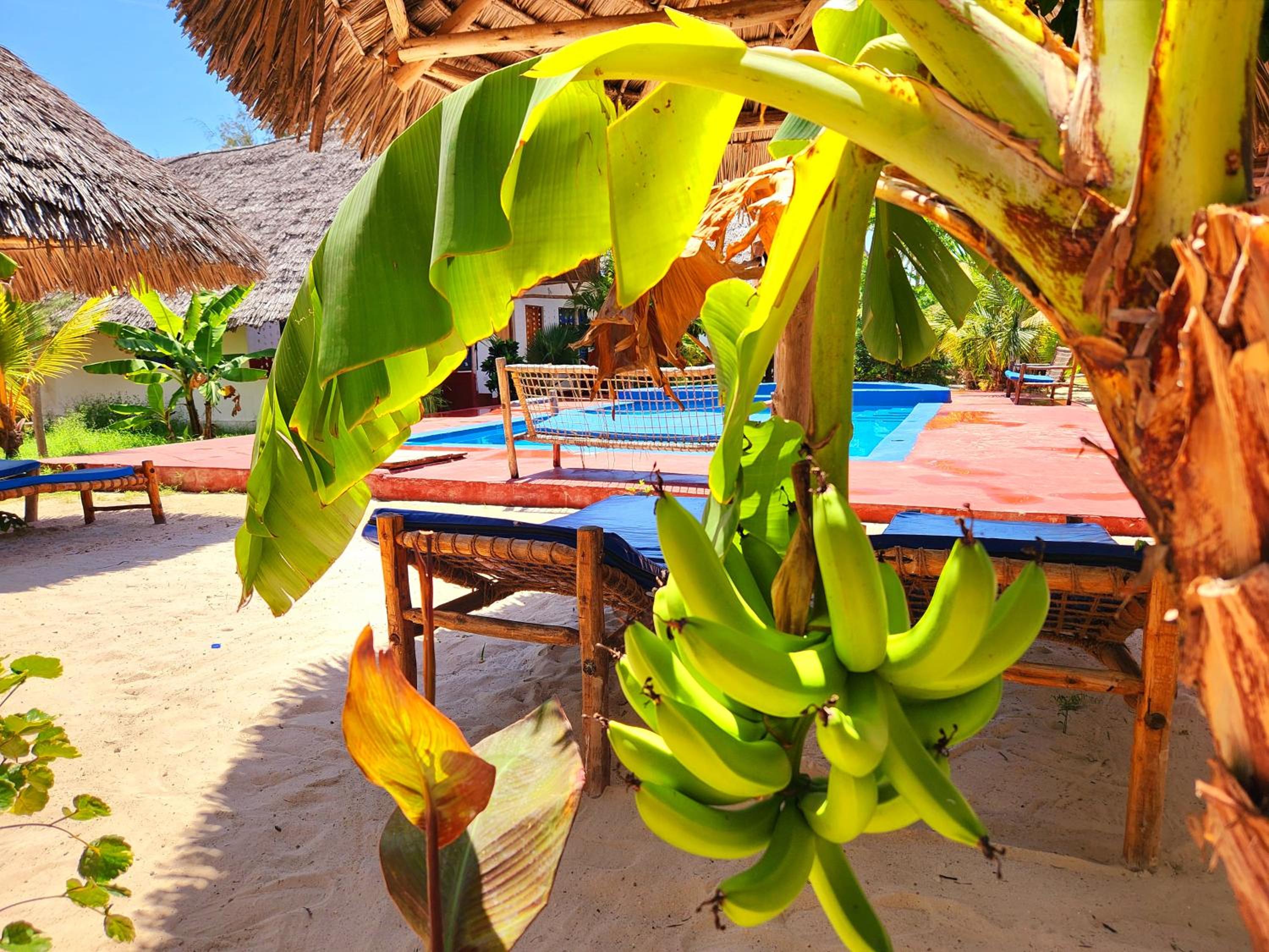 Mkeka Spice Lodge Jambiani