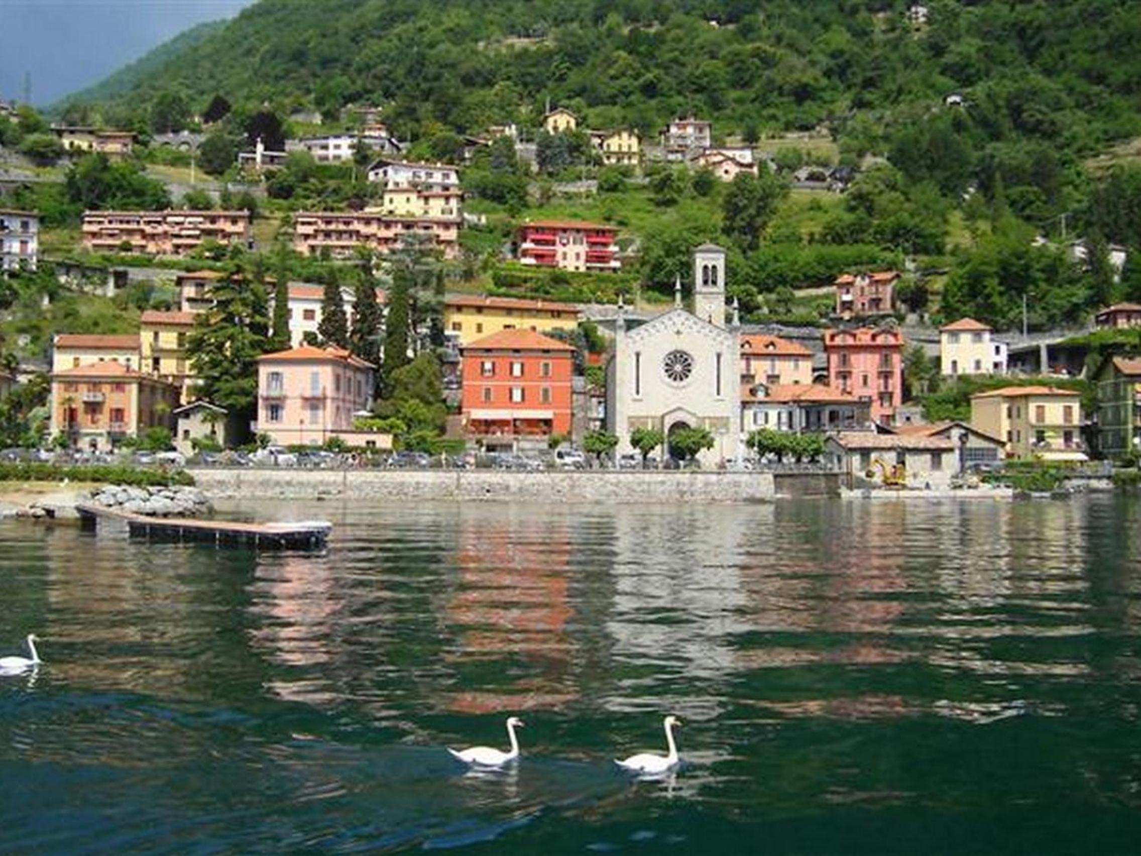 Photo 47