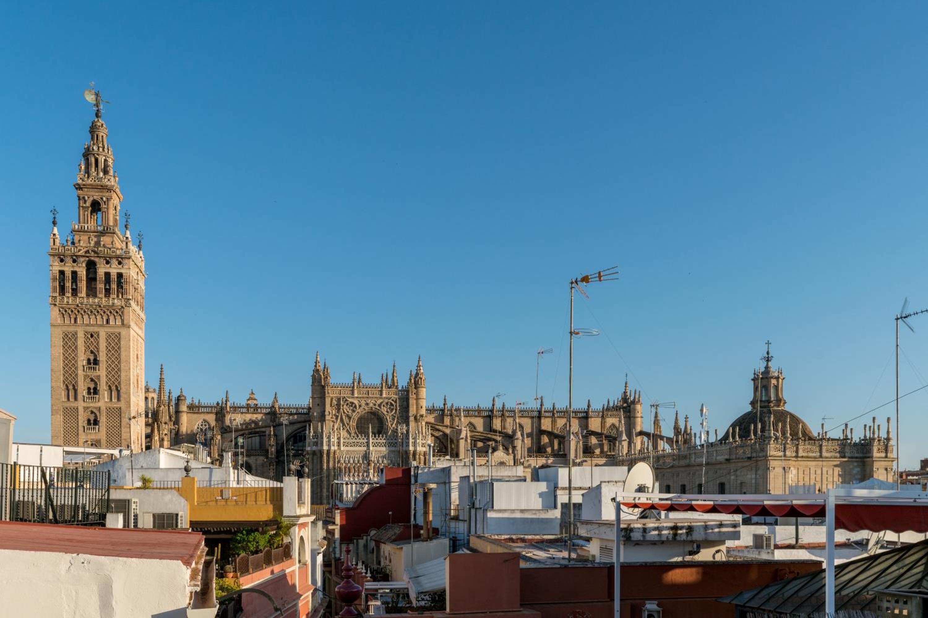 Numa Seville Alegre