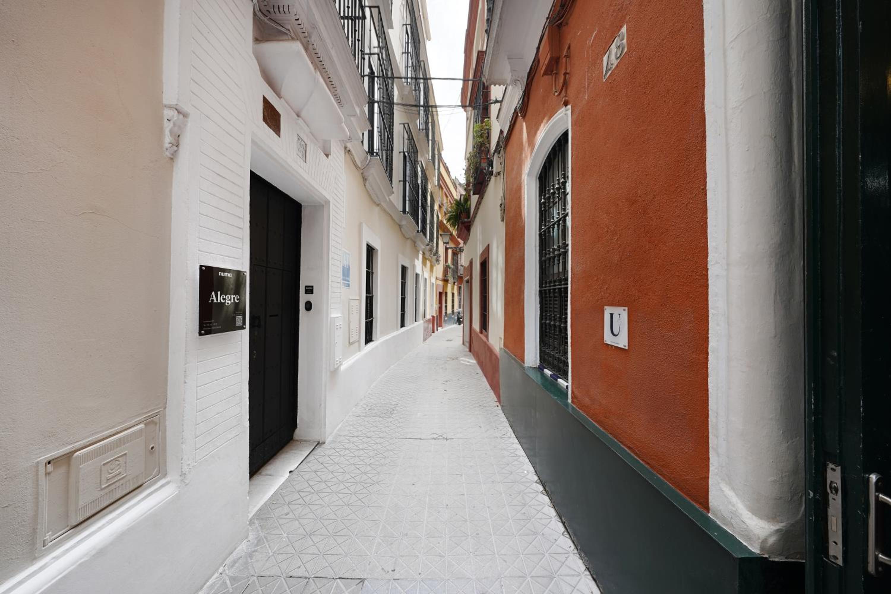 Numa Seville Alegre