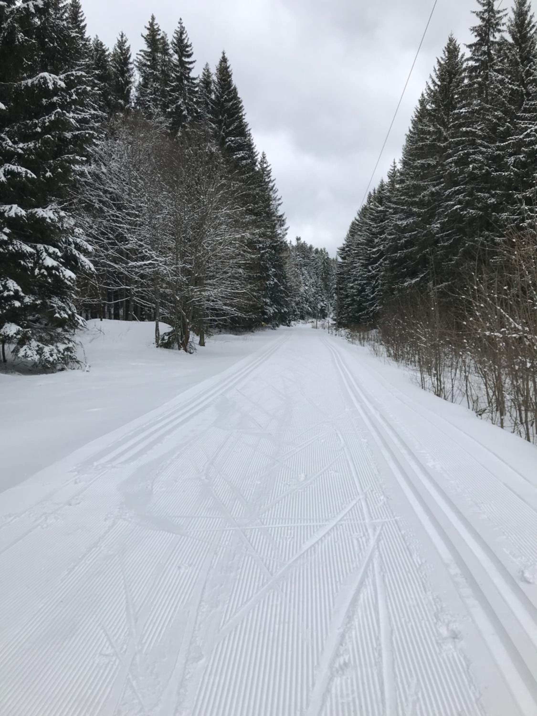 Apartmán Nové Hutě Šumava