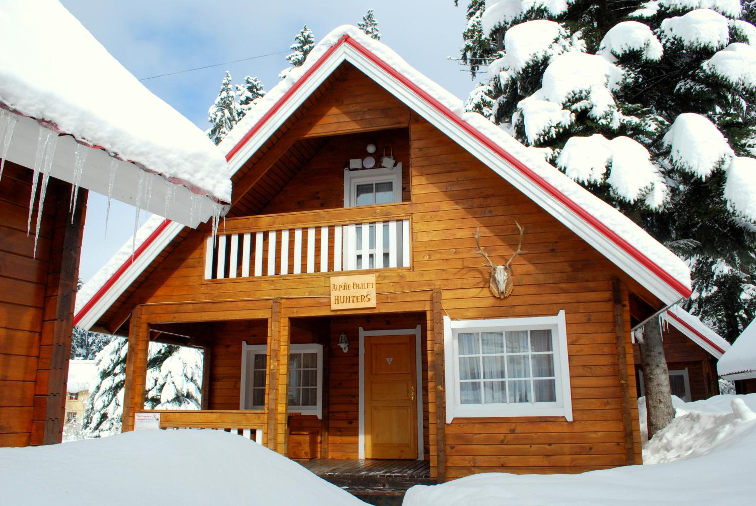Photo 48