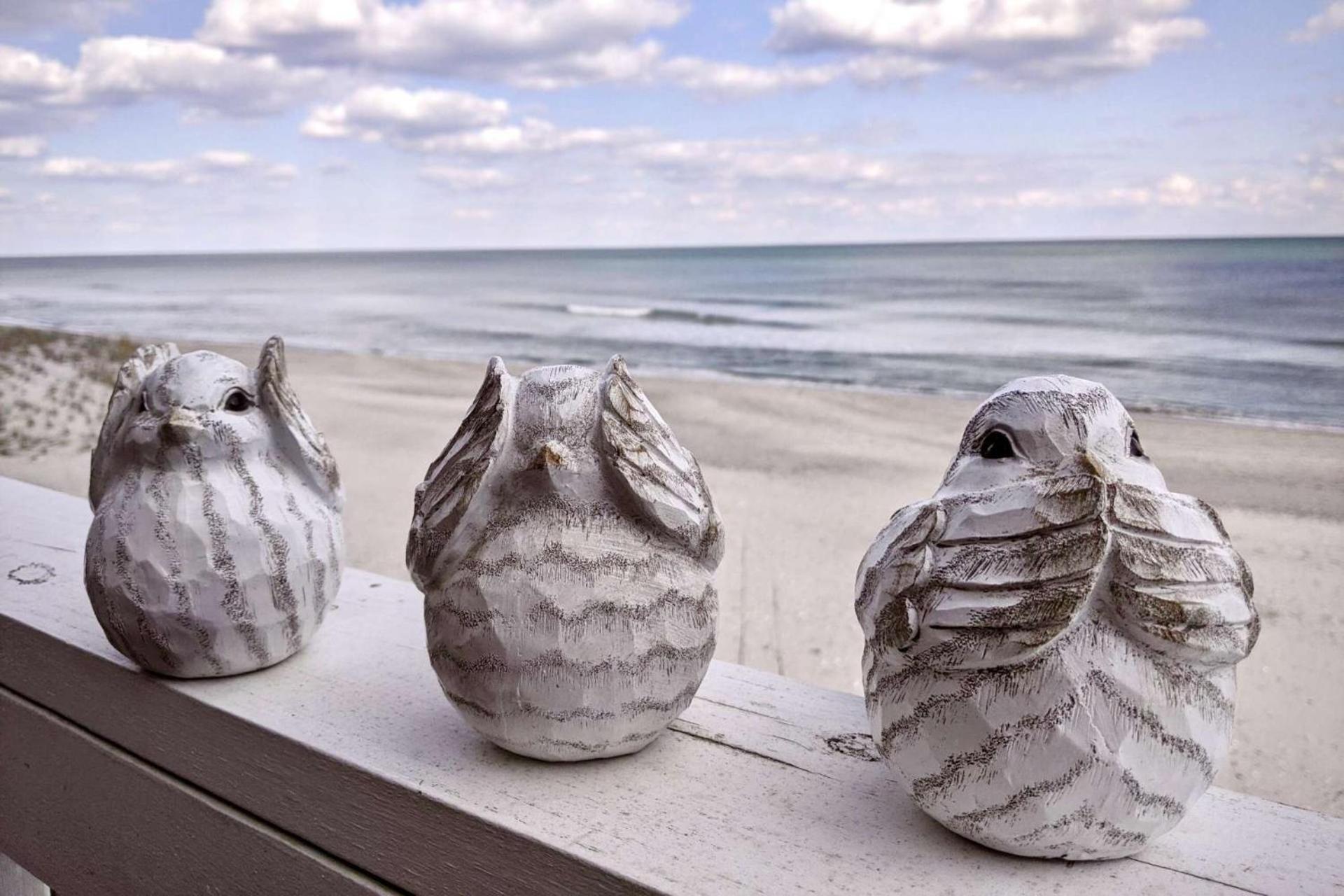 Three Little Birds view 4