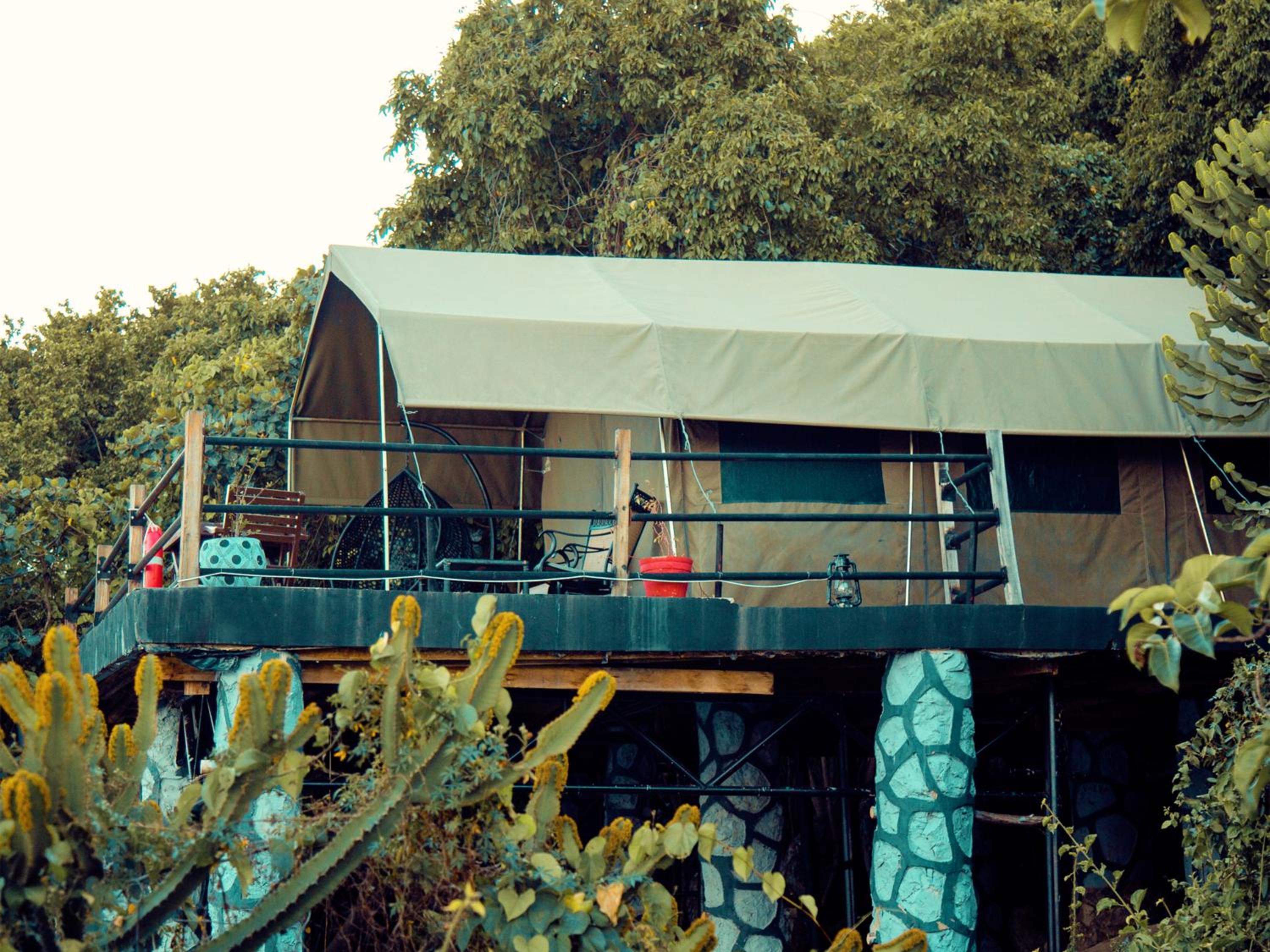 Wag Hill Lodge & Spa