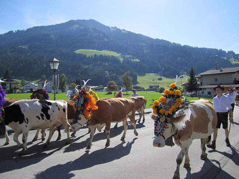 Sonnplatzl Appartement Westendorf