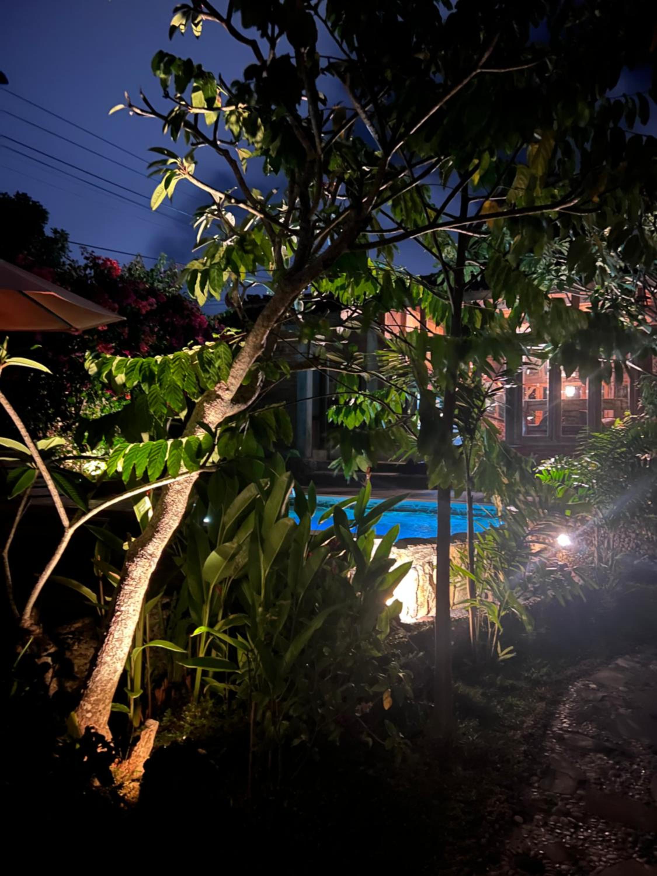 Pinokkio Bed and Breakfast view 5