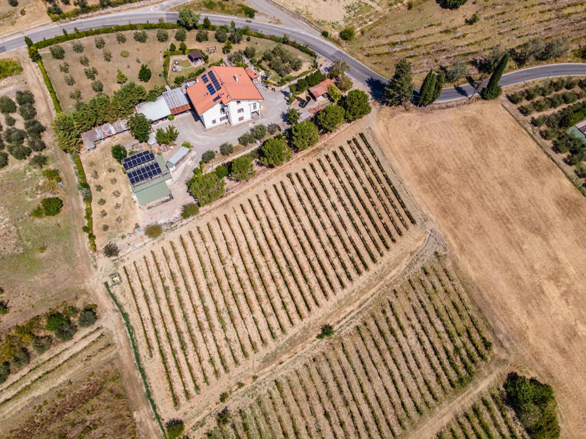 Sole Verde green house view 2