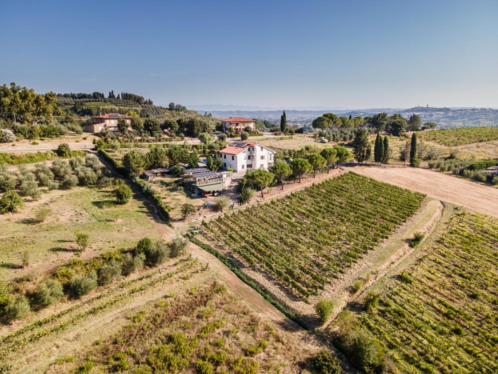 Sole Verde green house view 3