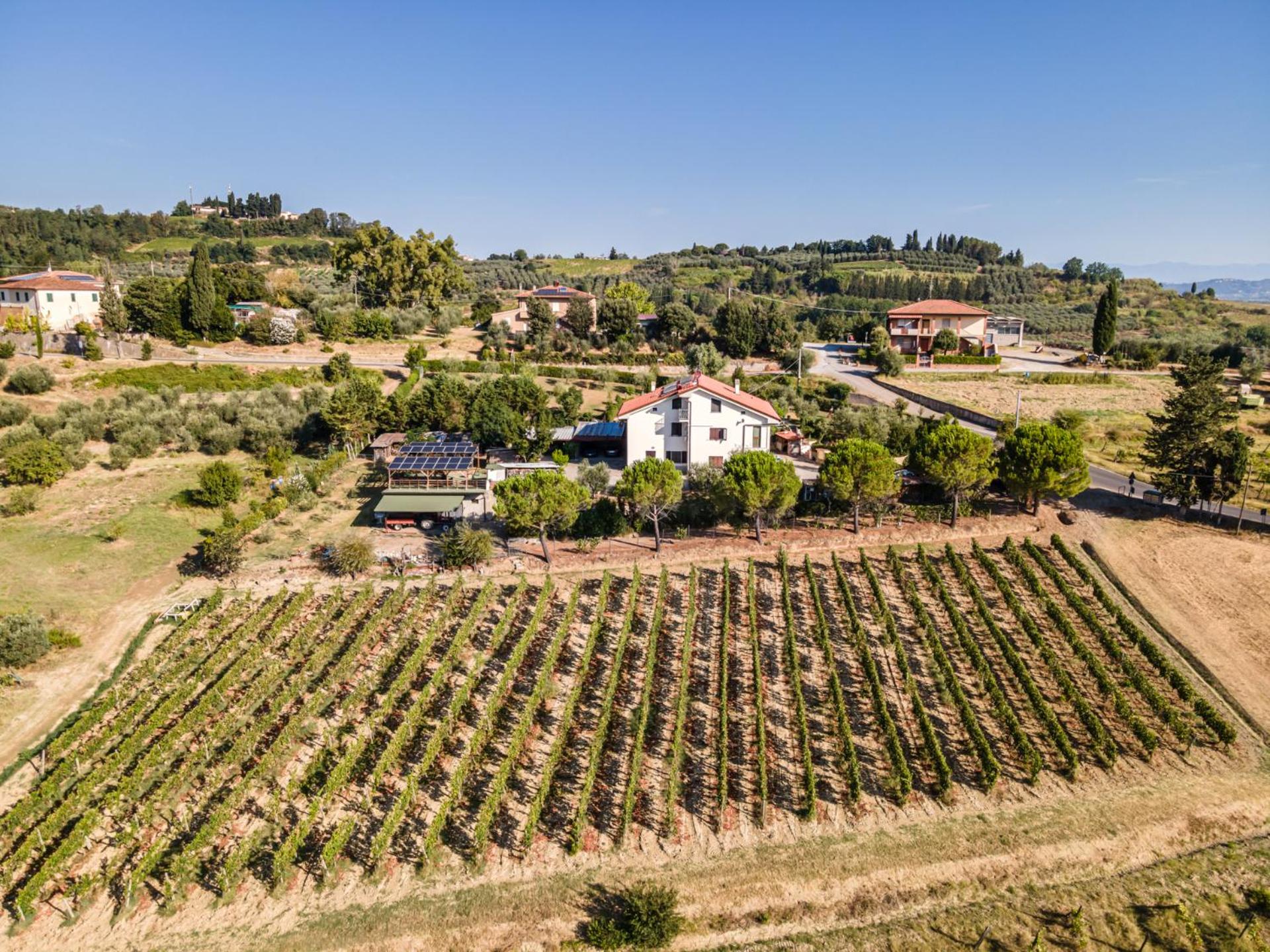 Sole Verde green house view 4