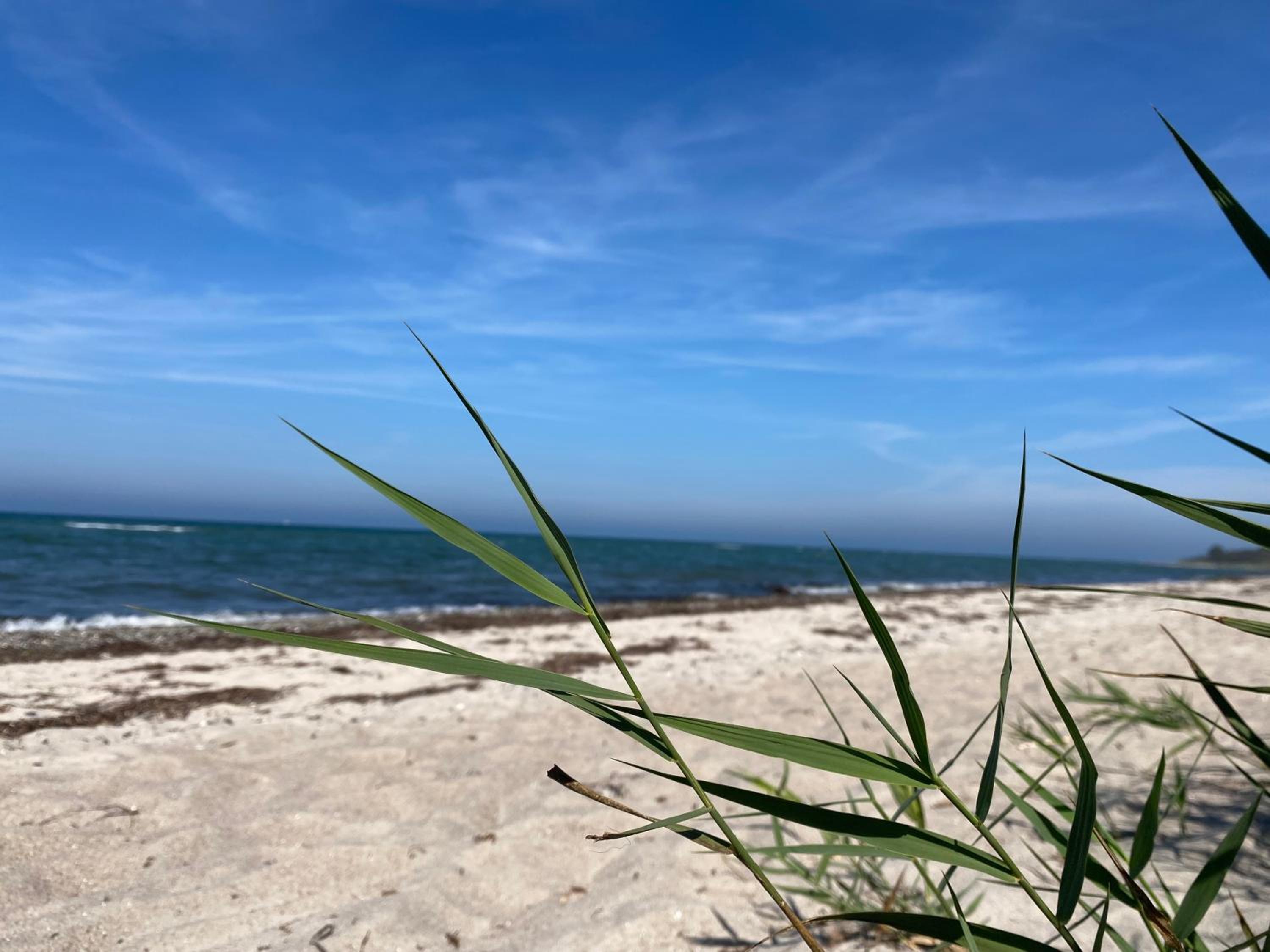 Strandperle