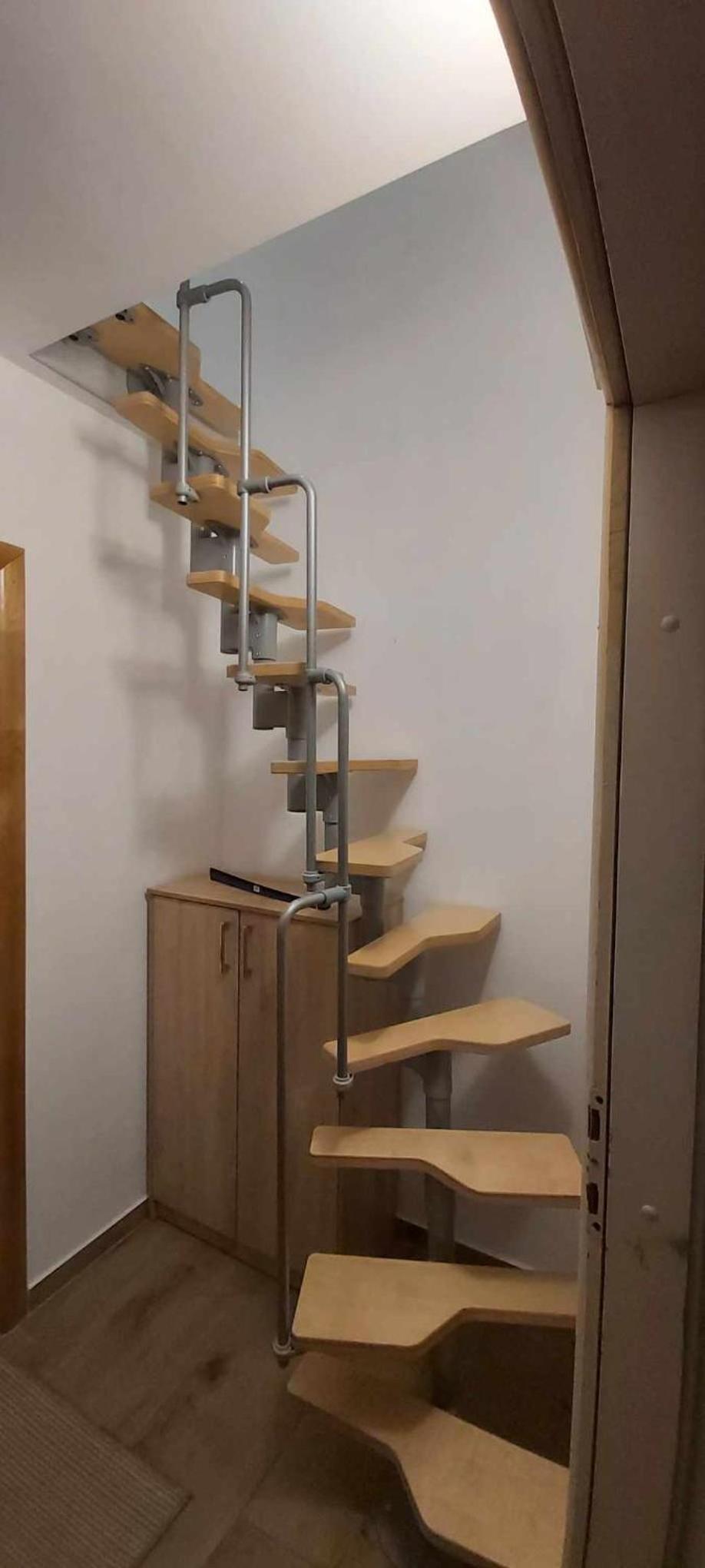 Tina apartman