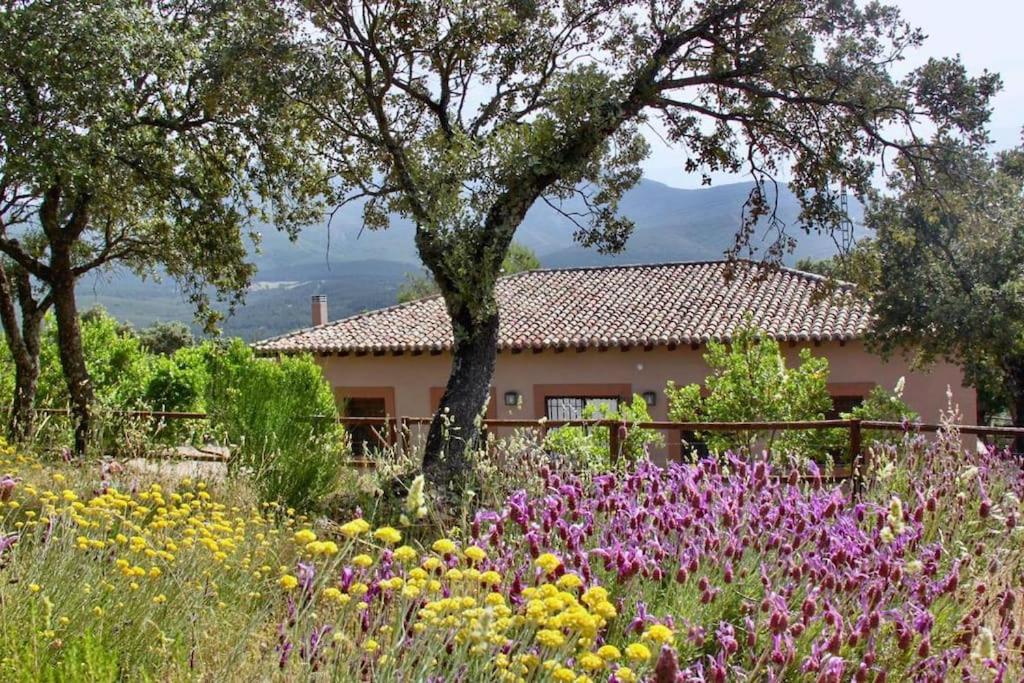 Casa Rural La Joyona