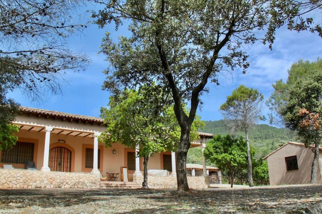 Casa Rural La Joyona