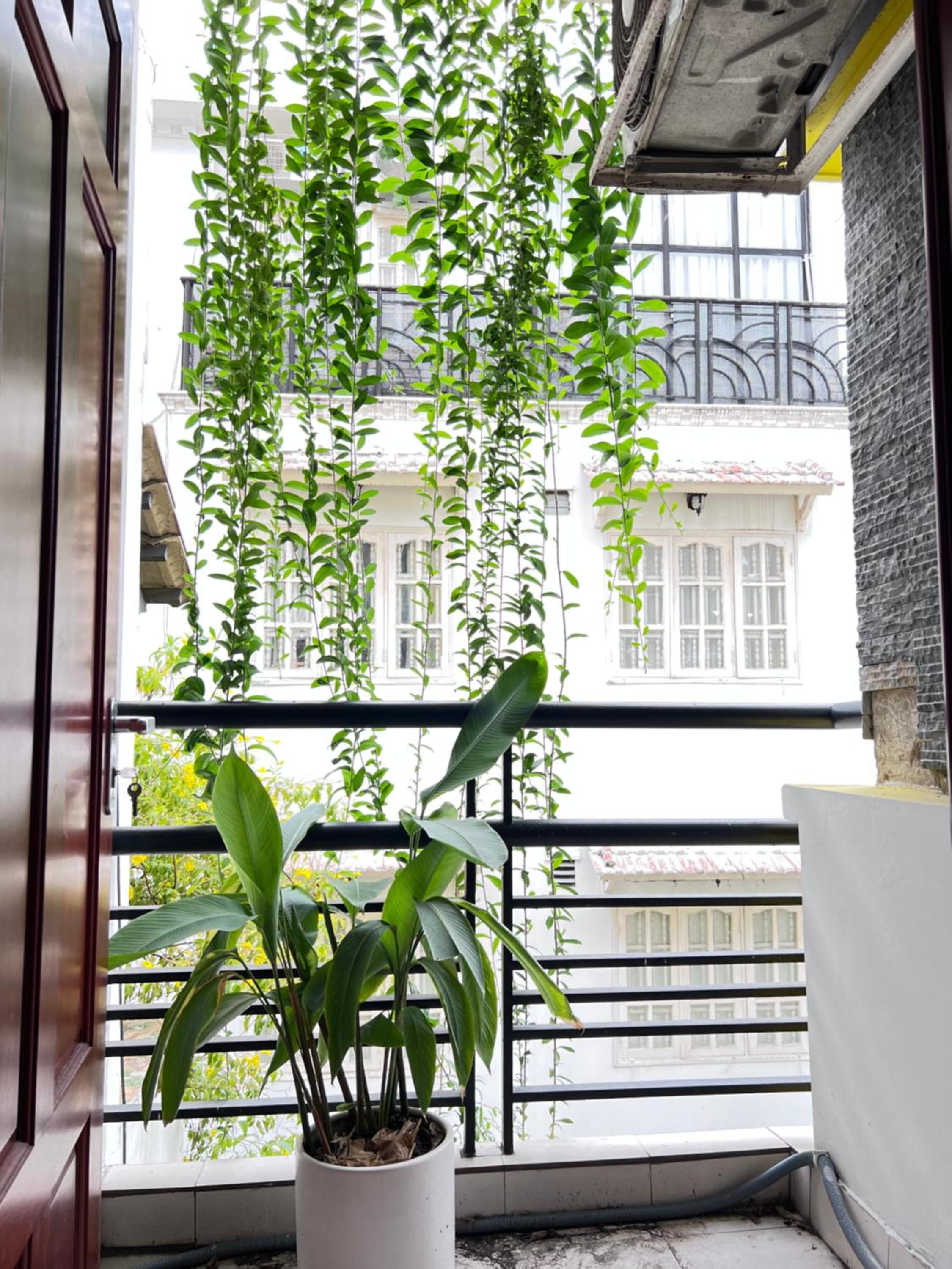 Cỏ Homestay Ben Thanh