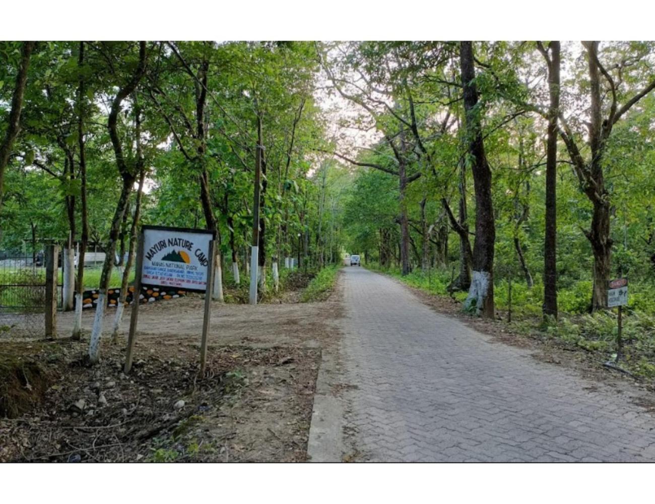 Mayuri Nature Camp, Barangabari, Assam
