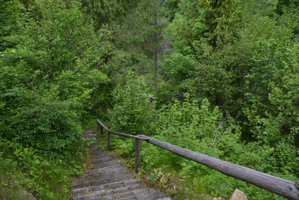 Photo 25