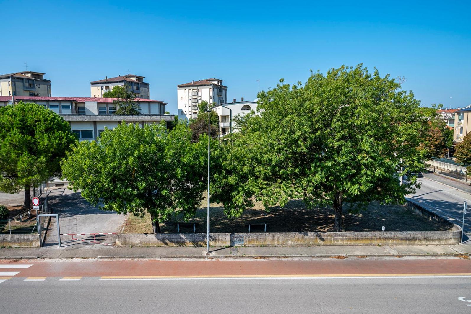 SE027 Senigallia, ampio quadrilocale con terrazzo photo 4