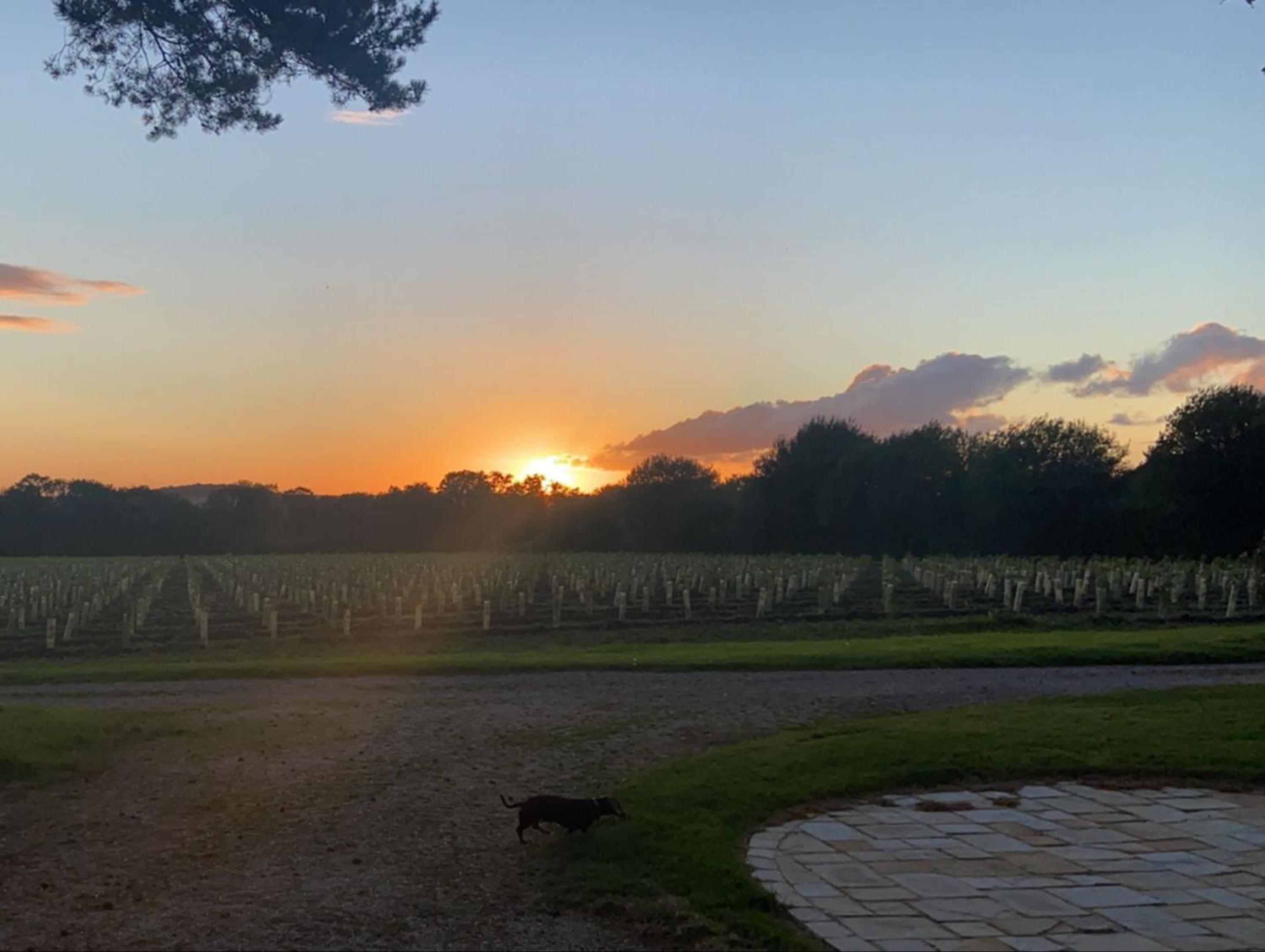 Oast House - Otium Wine Estate view 4
