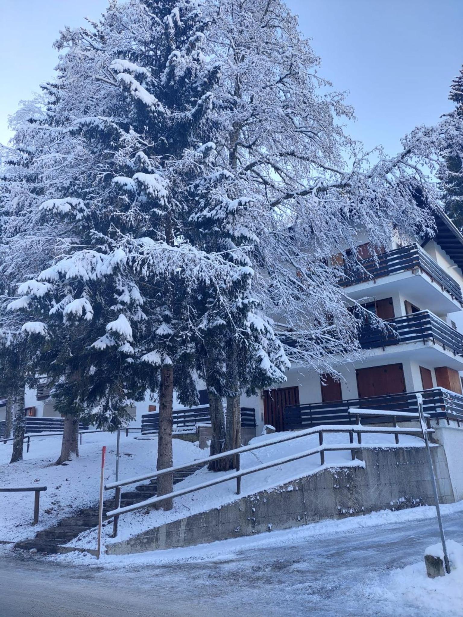 Casa ampia Funghetto sulle piste di Folgarida view 4