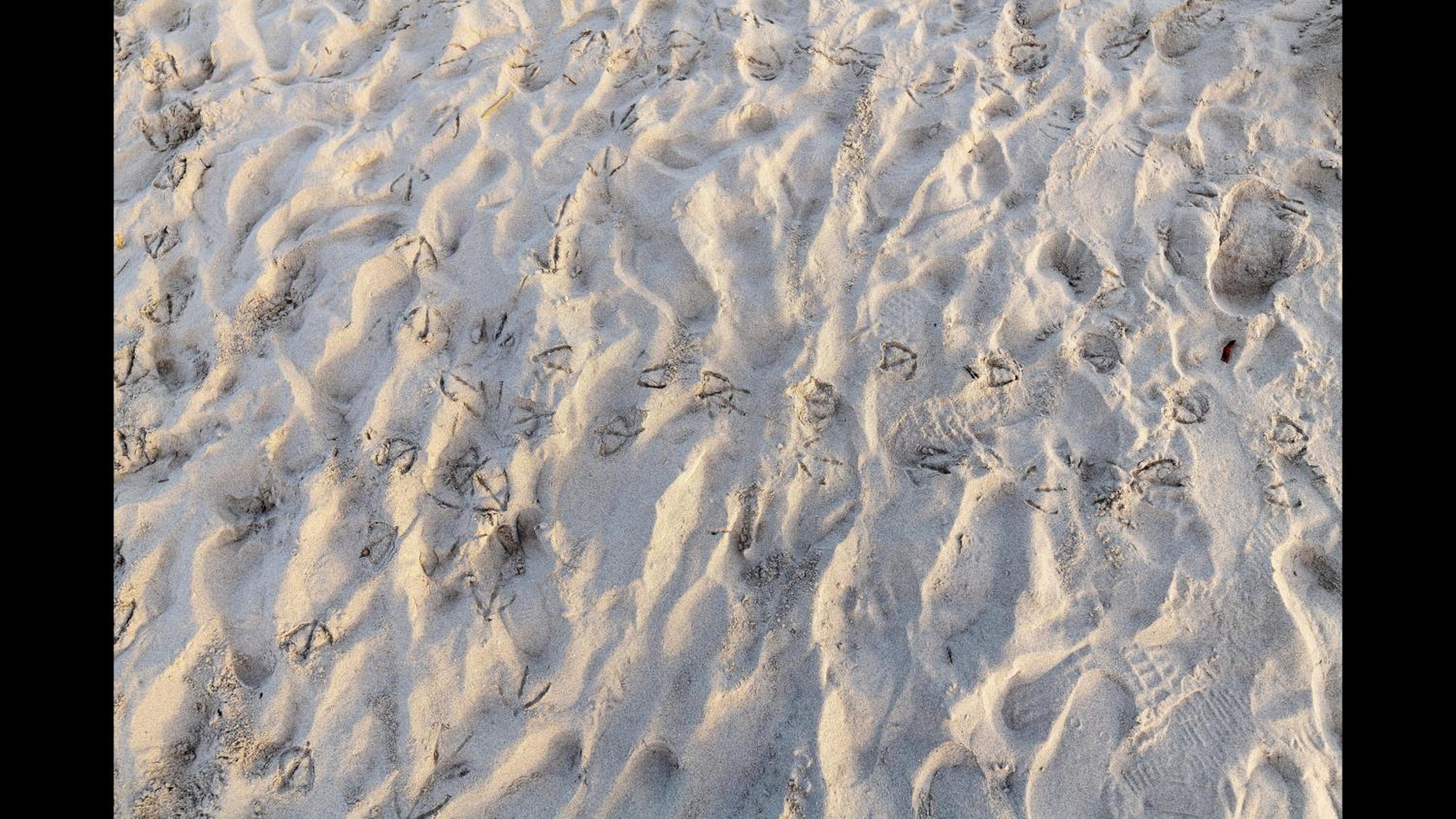 Photo 43