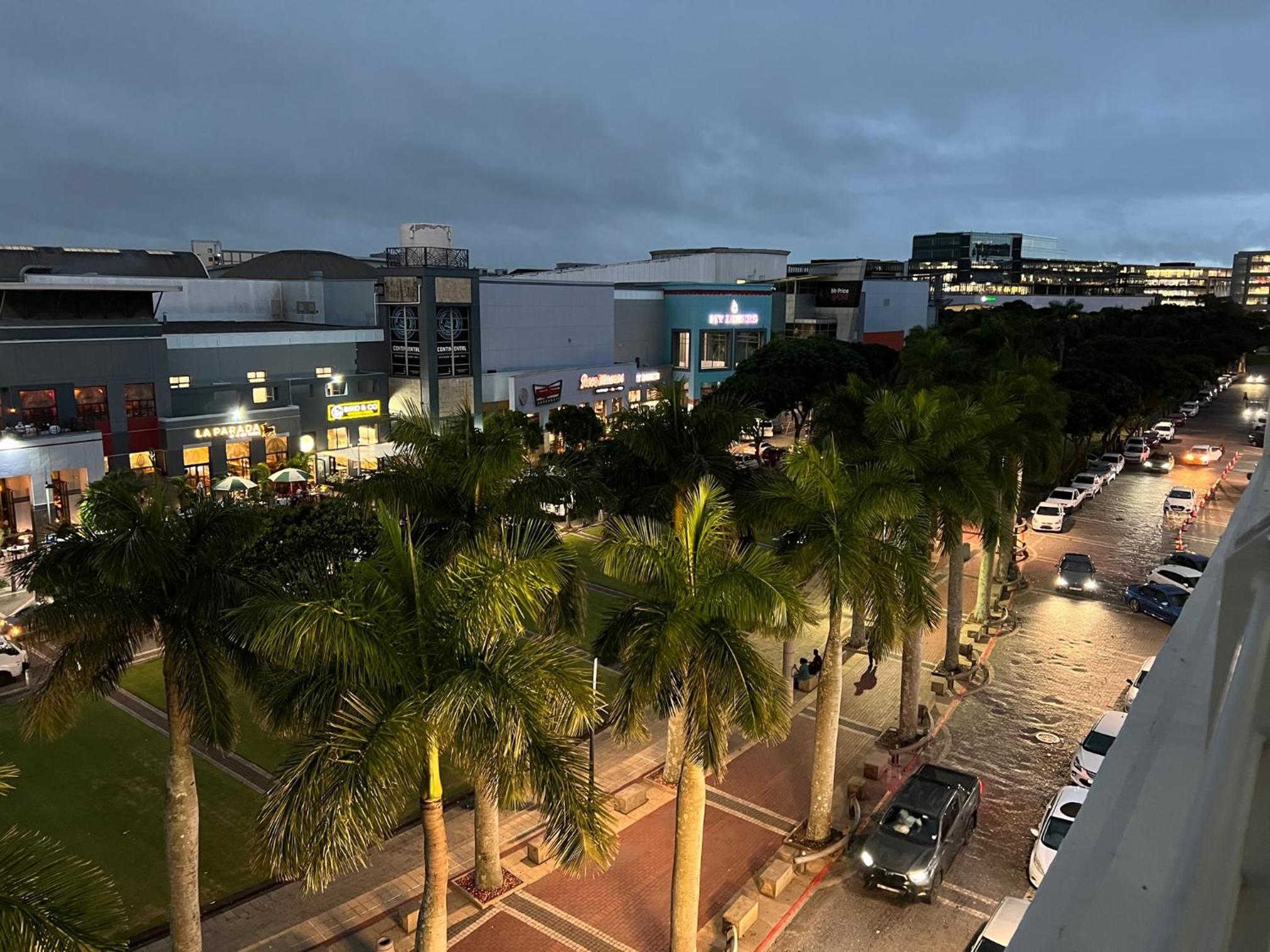 12 Palm Boulevard 404 view 4