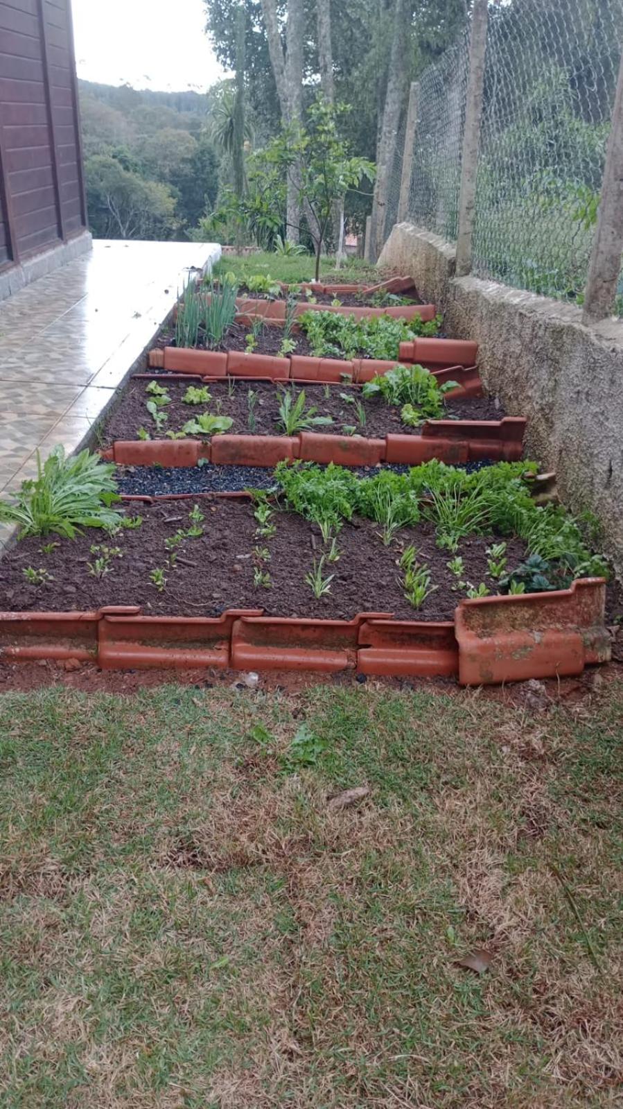 Biju's Little Farm