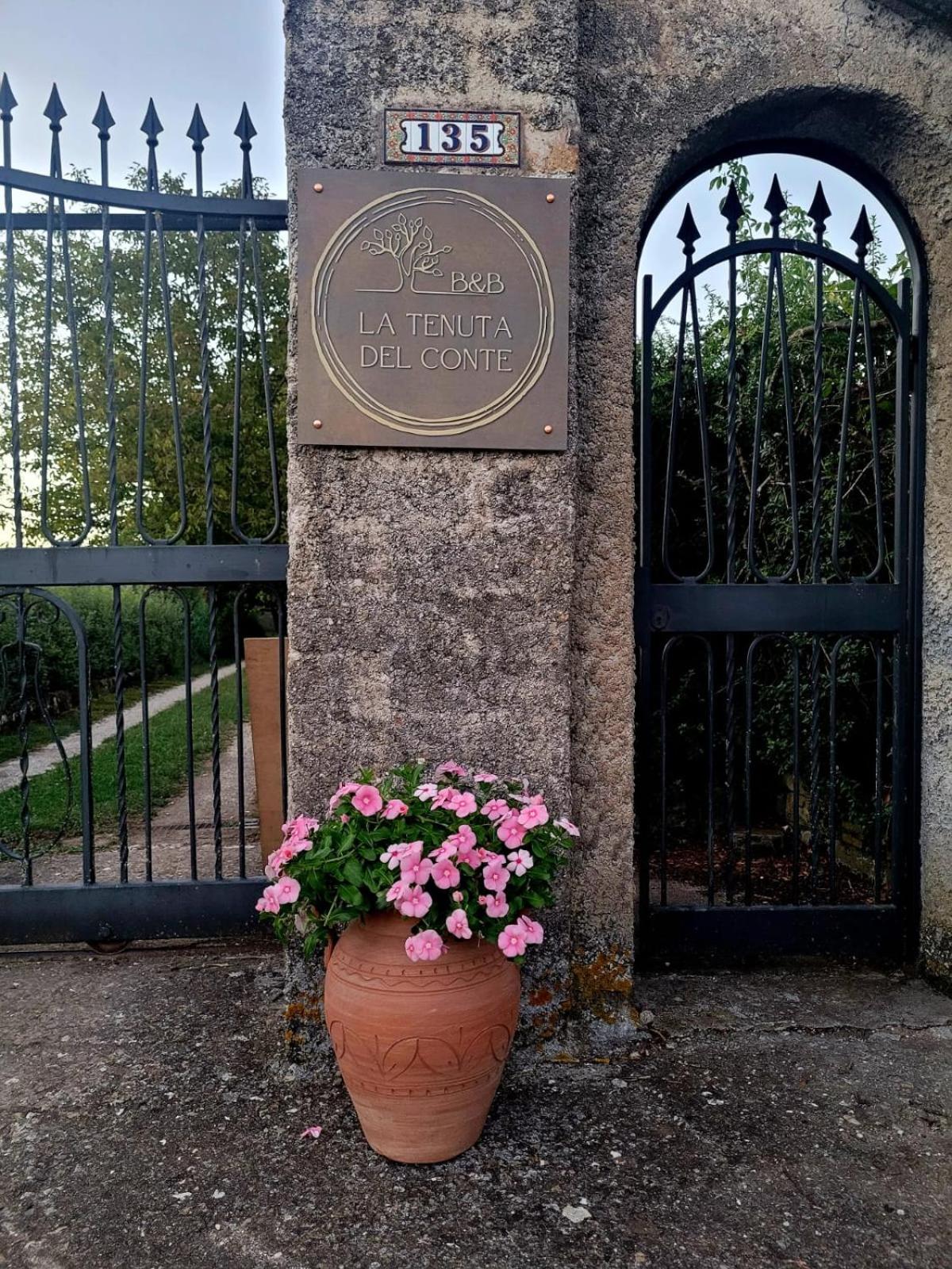 La Tenuta Del Conte view 2