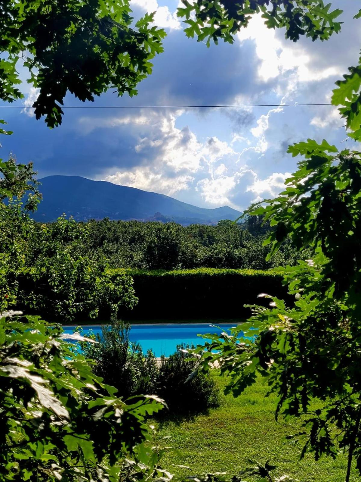 La Tenuta Del Conte view 5