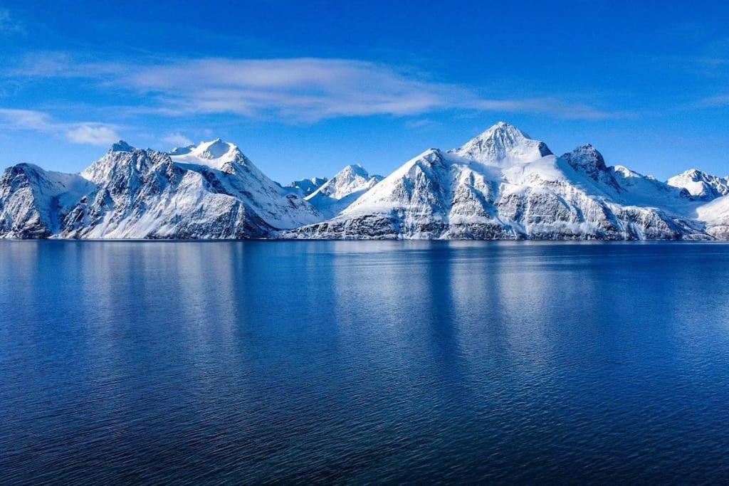 Lyngenfjord view